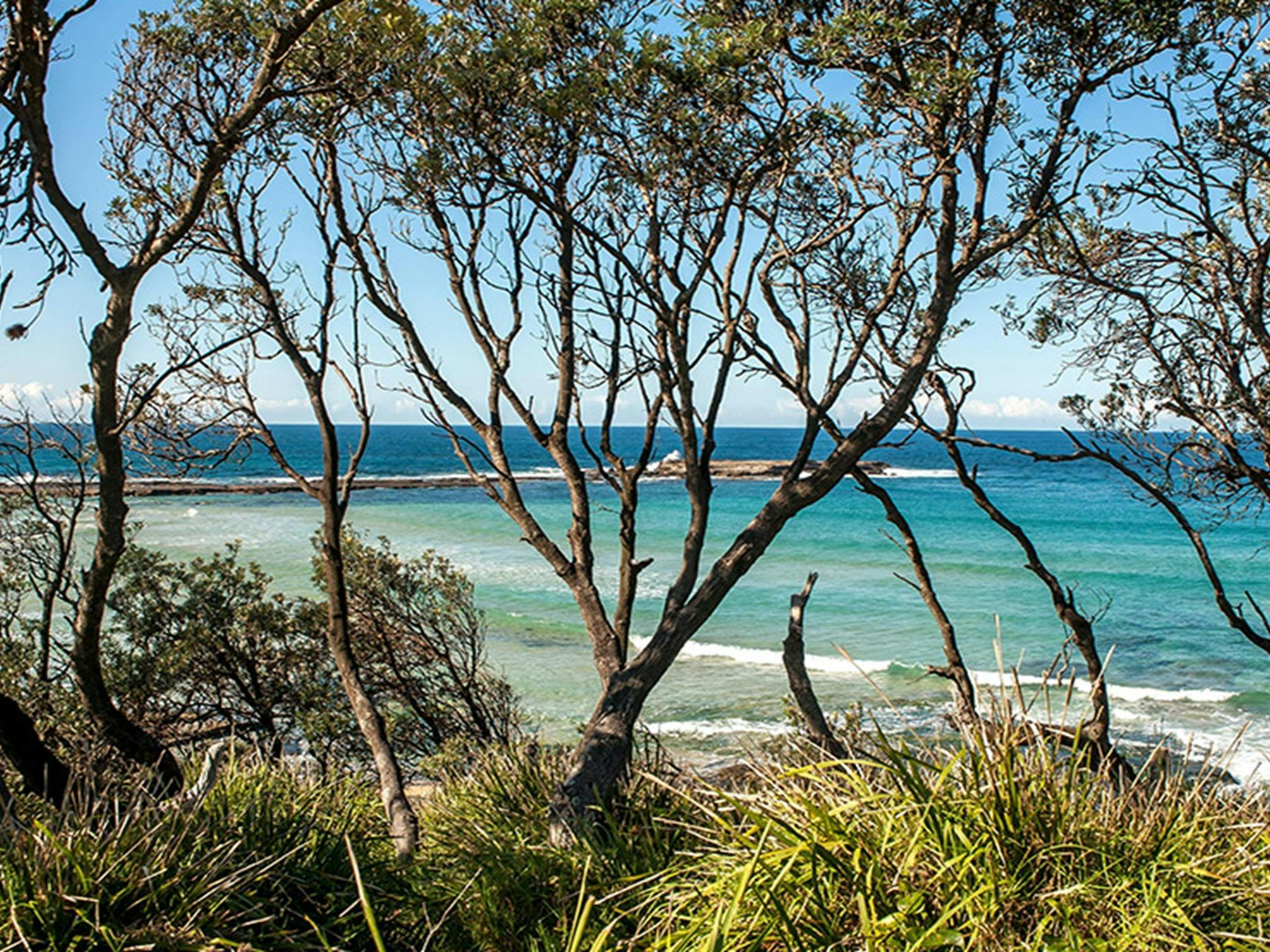 View of Stokes Island through the trees, Meroo National Park. Credit: Michael Van Ewijk &copy;