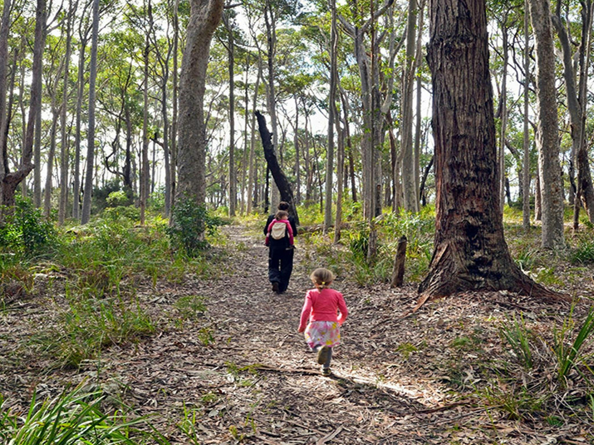 A family walking on Meroo Head lookout walking track. Credit: Michael Van Ewijk &copy; DCCEEW