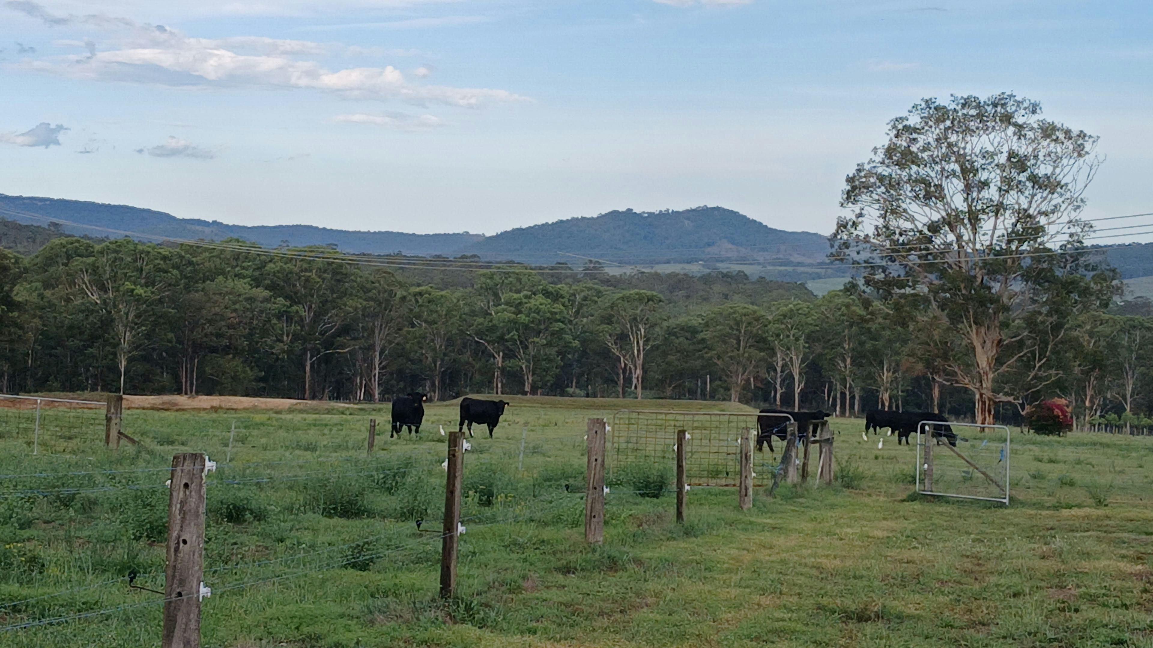 Hunter Valley Homestead