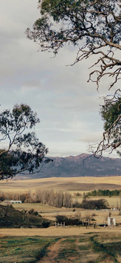 Michelago Farm Camping