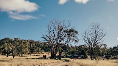 Michelago Farm Camping