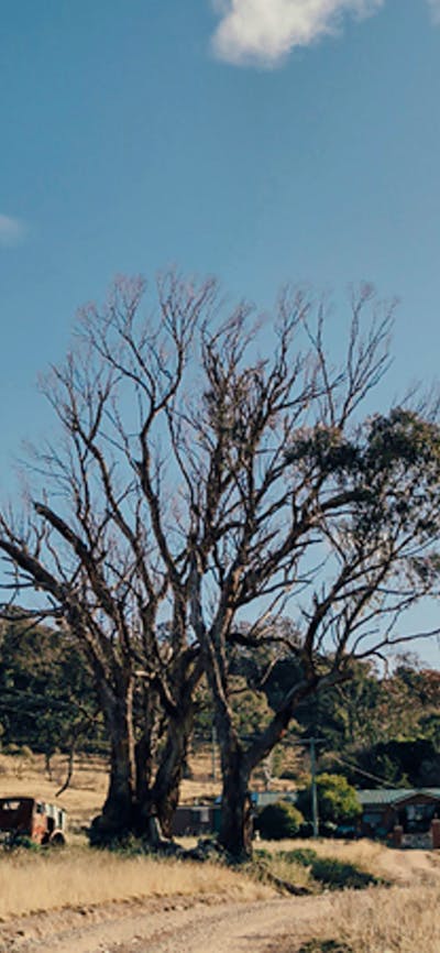 Michelago Farm Camping