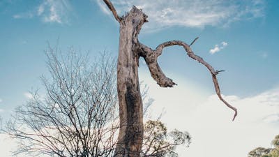 Michelago Farm Camping