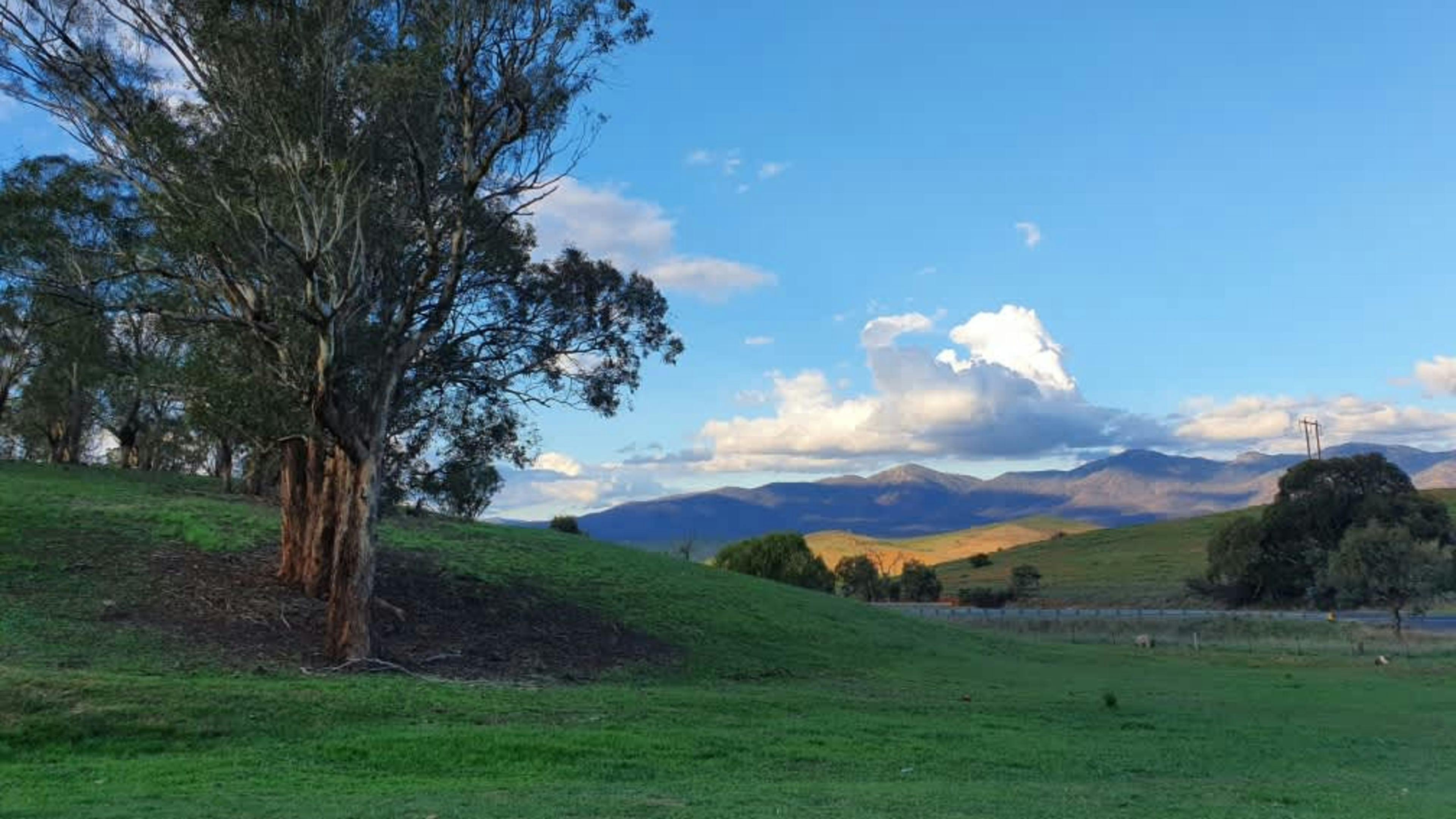 Michelago HILLDYKE 160 yr old farm