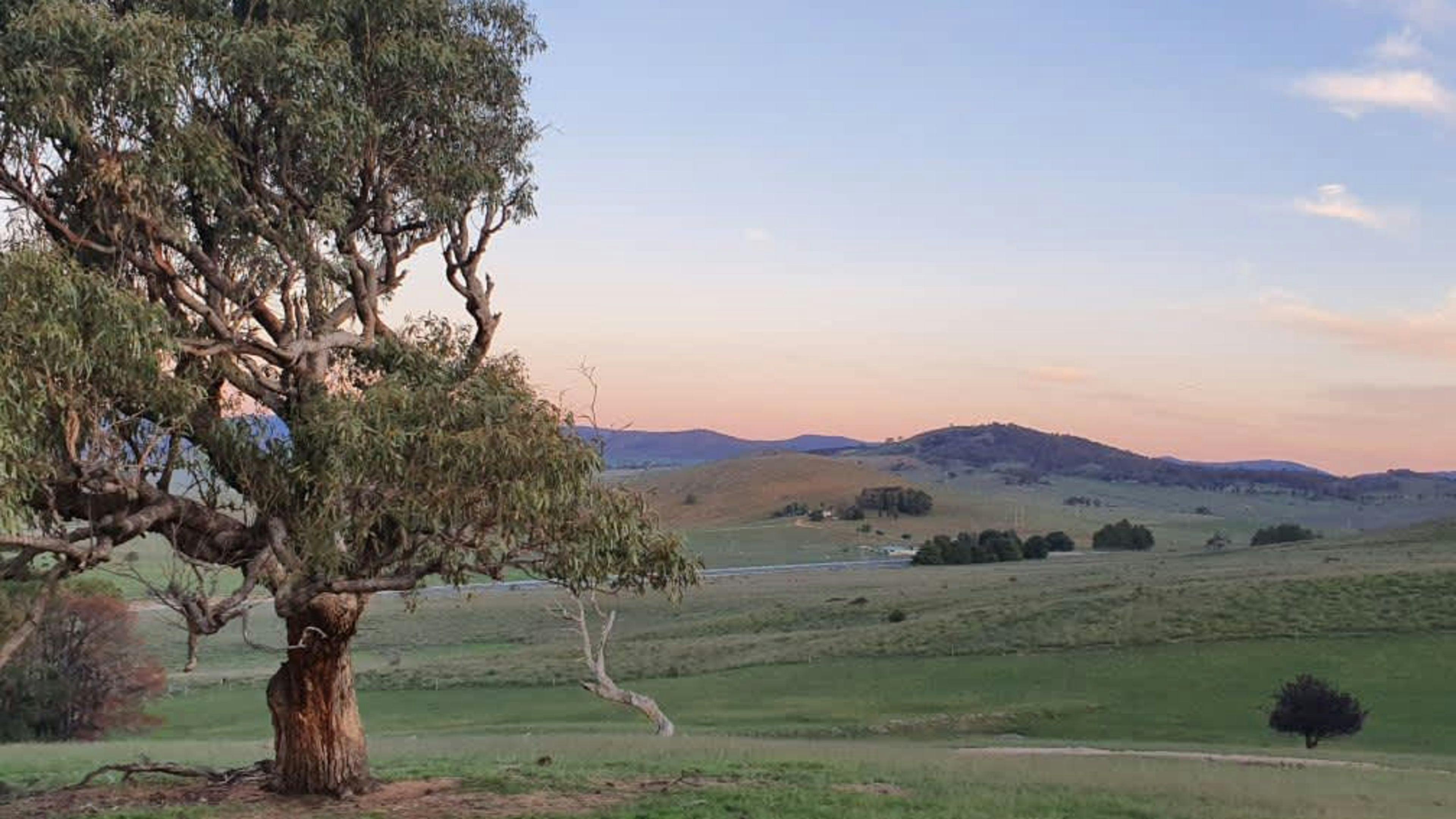 Michelago HILLDYKE 160 yr old farm