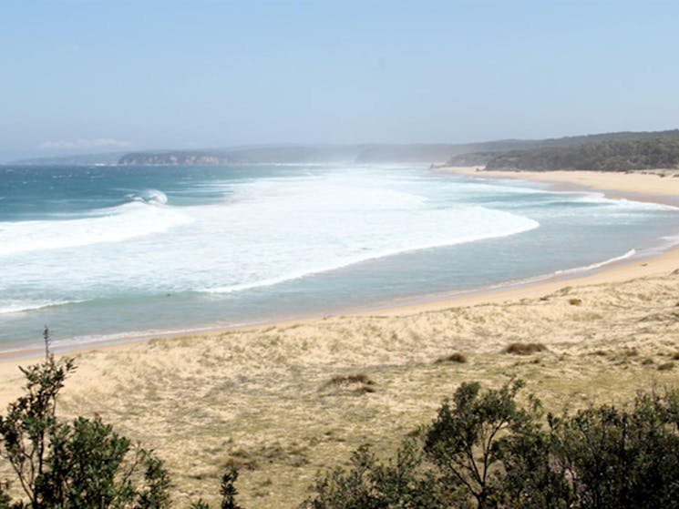 Middle Beach campground, Mimosa Rocks National Park. Photo: John Yurasek Copyright:NSW Government
