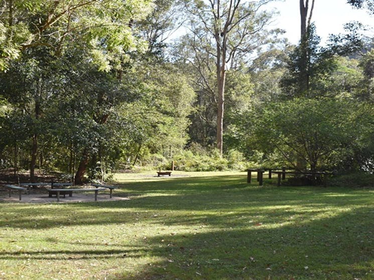 Grassy area at Mill Creek campground. Photo: Sarah Brookes &copy; DPIE