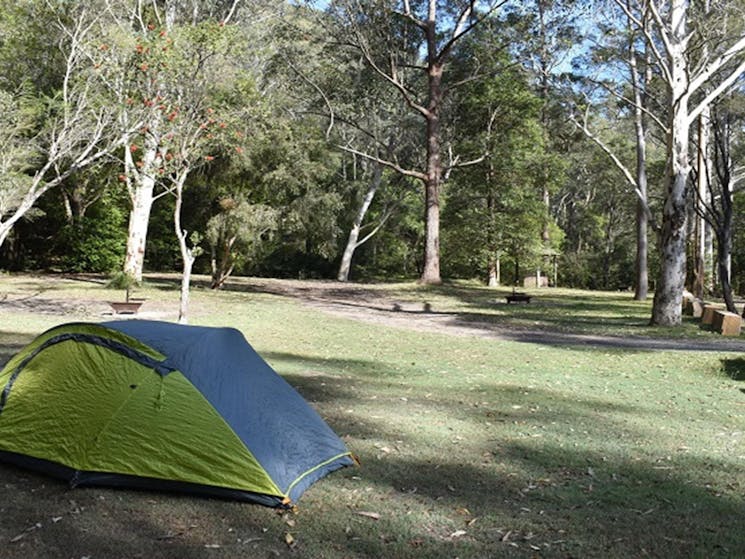 A tent at Mill Creek campground in Dharug National Park. Photo: Sarah Brookes &copy; DPE