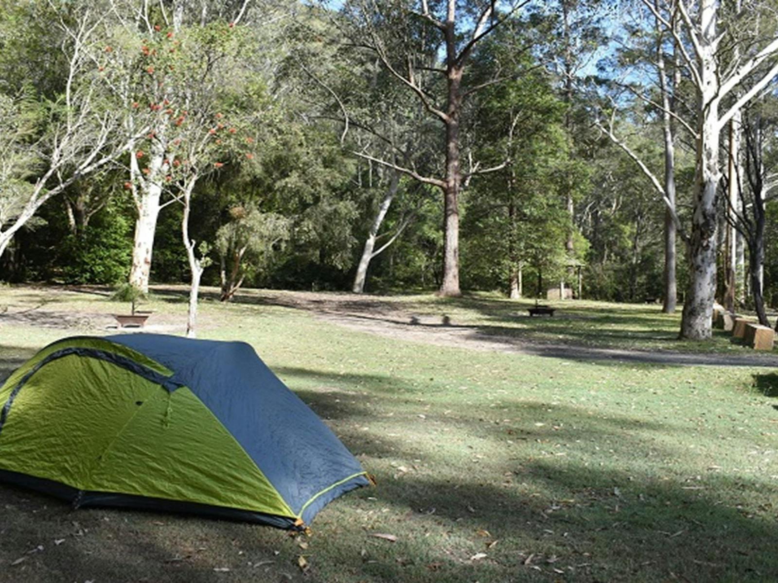 A tent at Mill Creek campground in Dharug National Park. Photo: Sarah Brookes © DPE