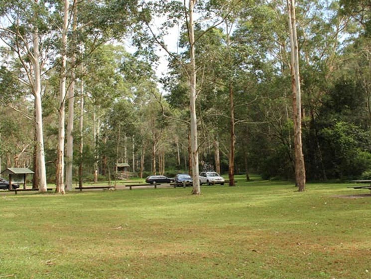 Mill Creek picnic area, Dharug National Park. Photo: John Yurasek &copy; OEH