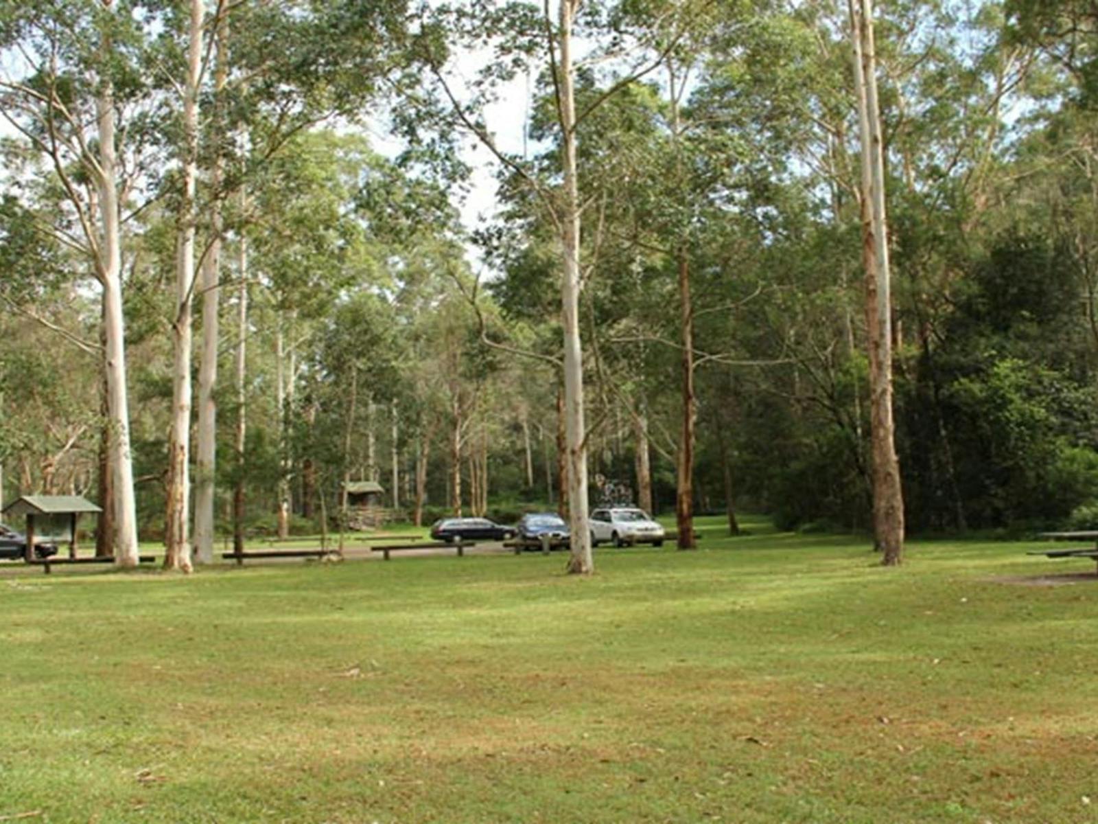 Mill Creek picnic area, Dharug National Park. Photo: John Yurasek © OEH
