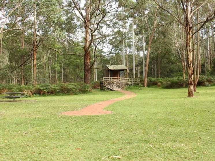 Mill Creek picnic area, Dharug National Park. Photo: John Yurasek &copy; OEH