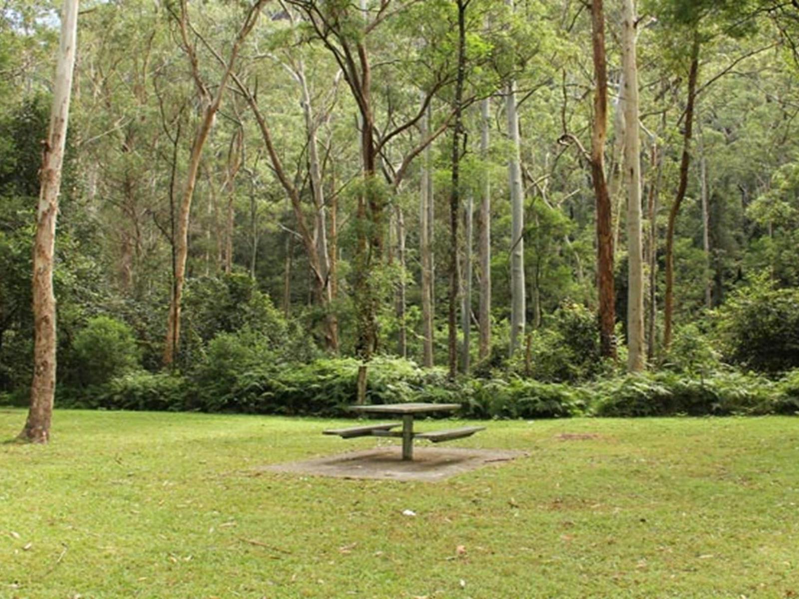 Mill Creek picnic area, Dharug National Park. Photo: John Yurasek © OEH