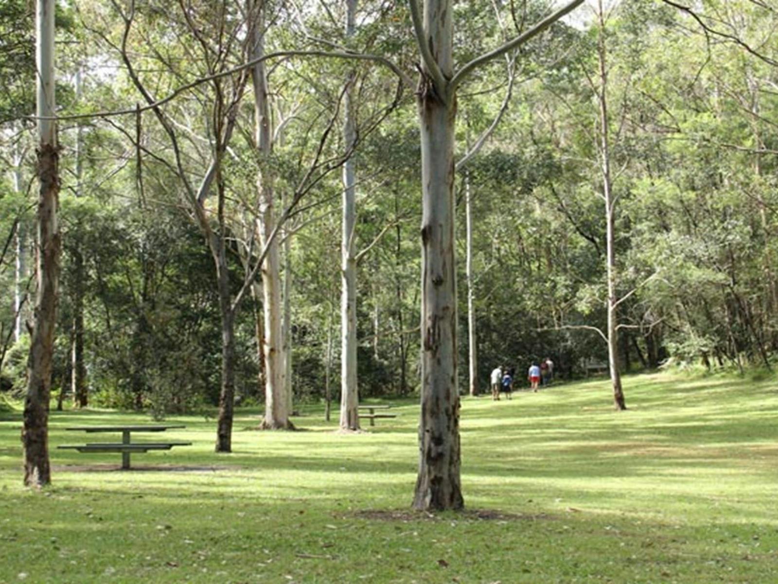 Mill Creek picnic area, Dharug National Park. Photo: John Yurasek © OEH