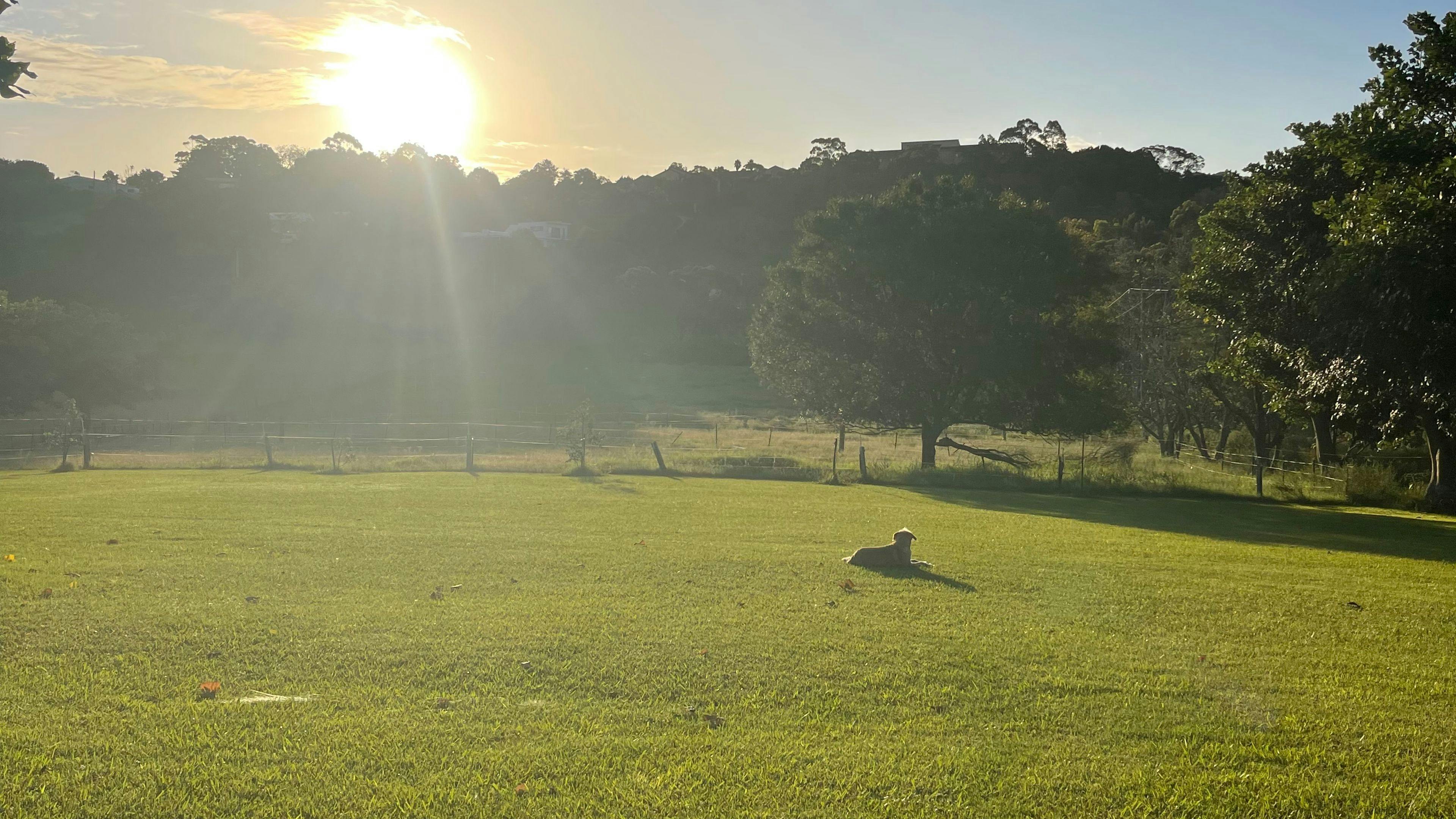 MiltonFarmStay