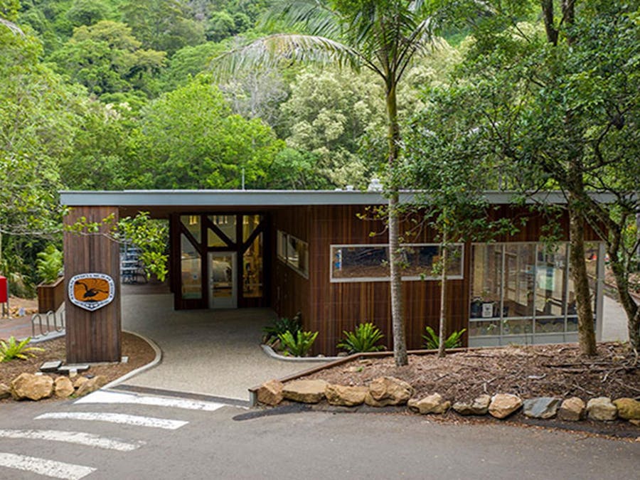 Exterior of Minnamurra Rainforest Centre with zebra crossing in the foreground and rainforest in the