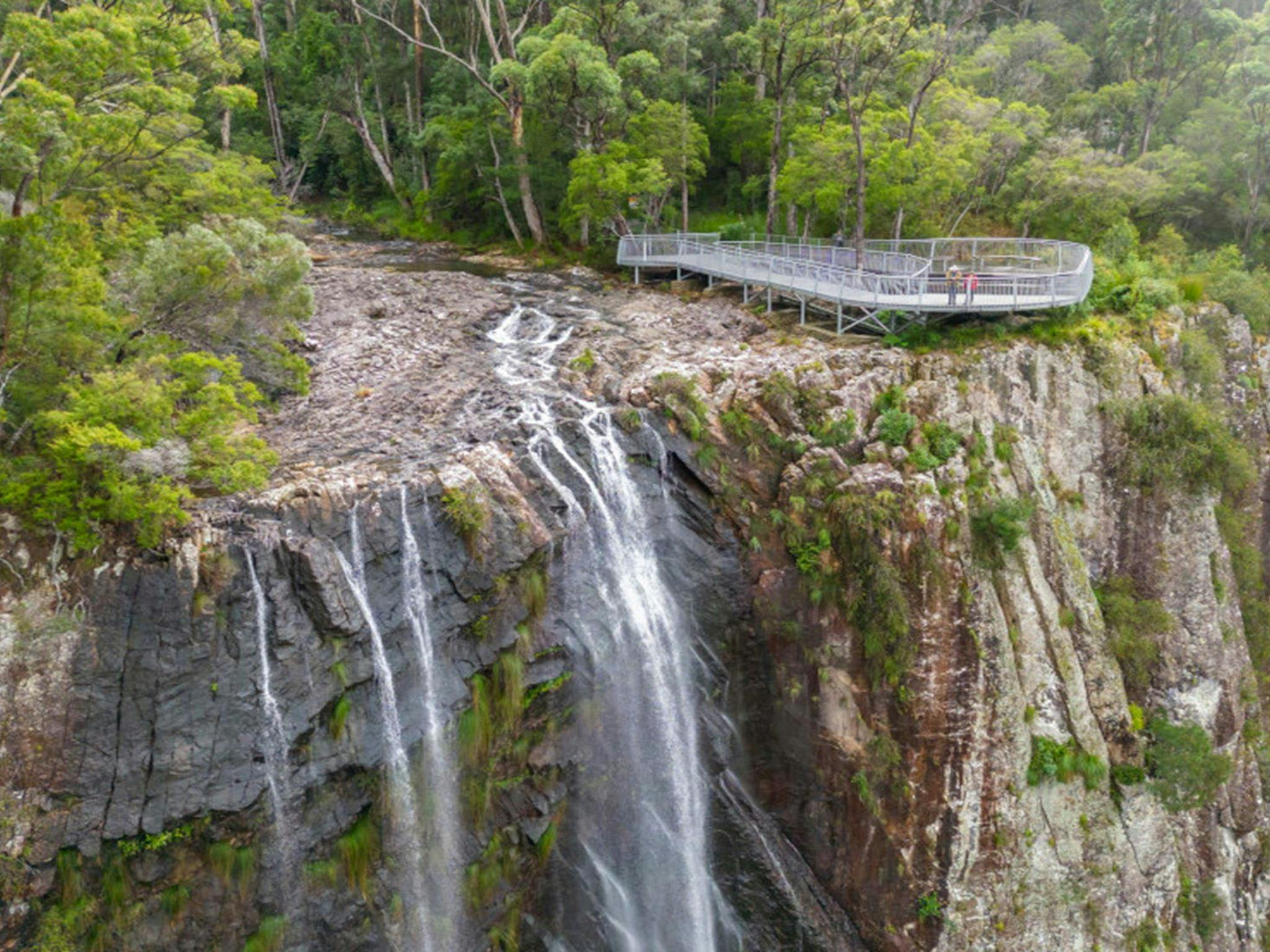 View of Minyon Falls and the lookout in Nightcap National Park. Credit: John Spencer © DPE