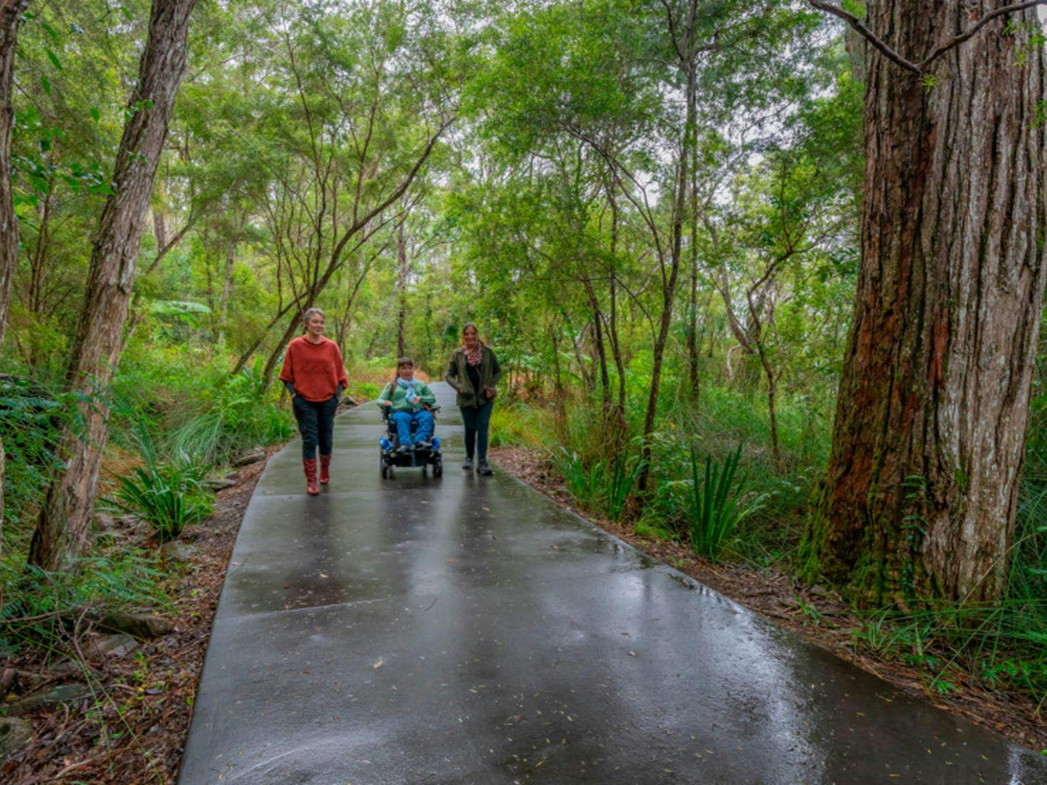 Visitors on the accessible path leading to Minyon Falls lookout. Credit: John Spencer © DPE