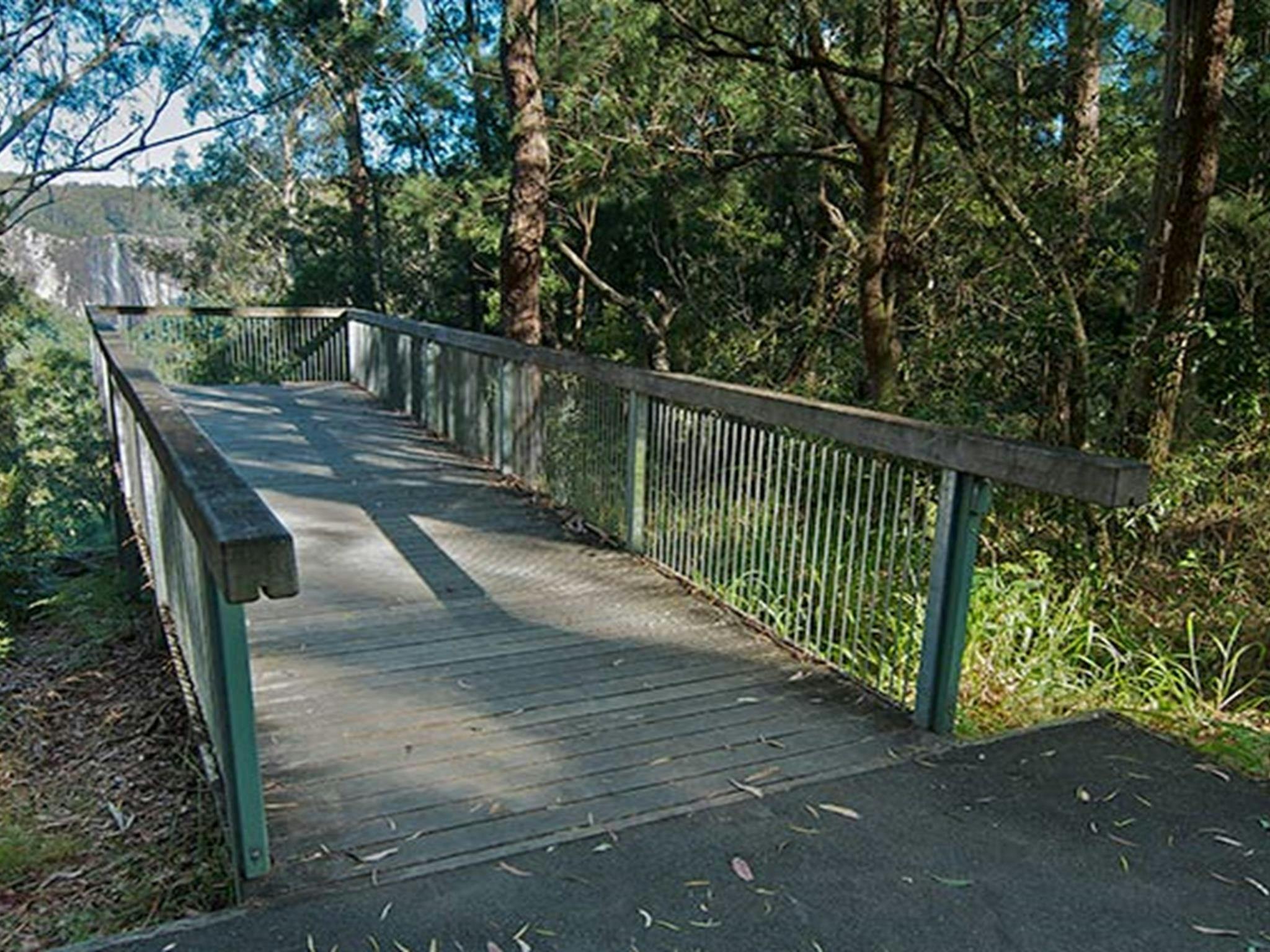 Minyon Grass picnic area, Nightcap National Park. Photo: Brian McLachlan © DPIE