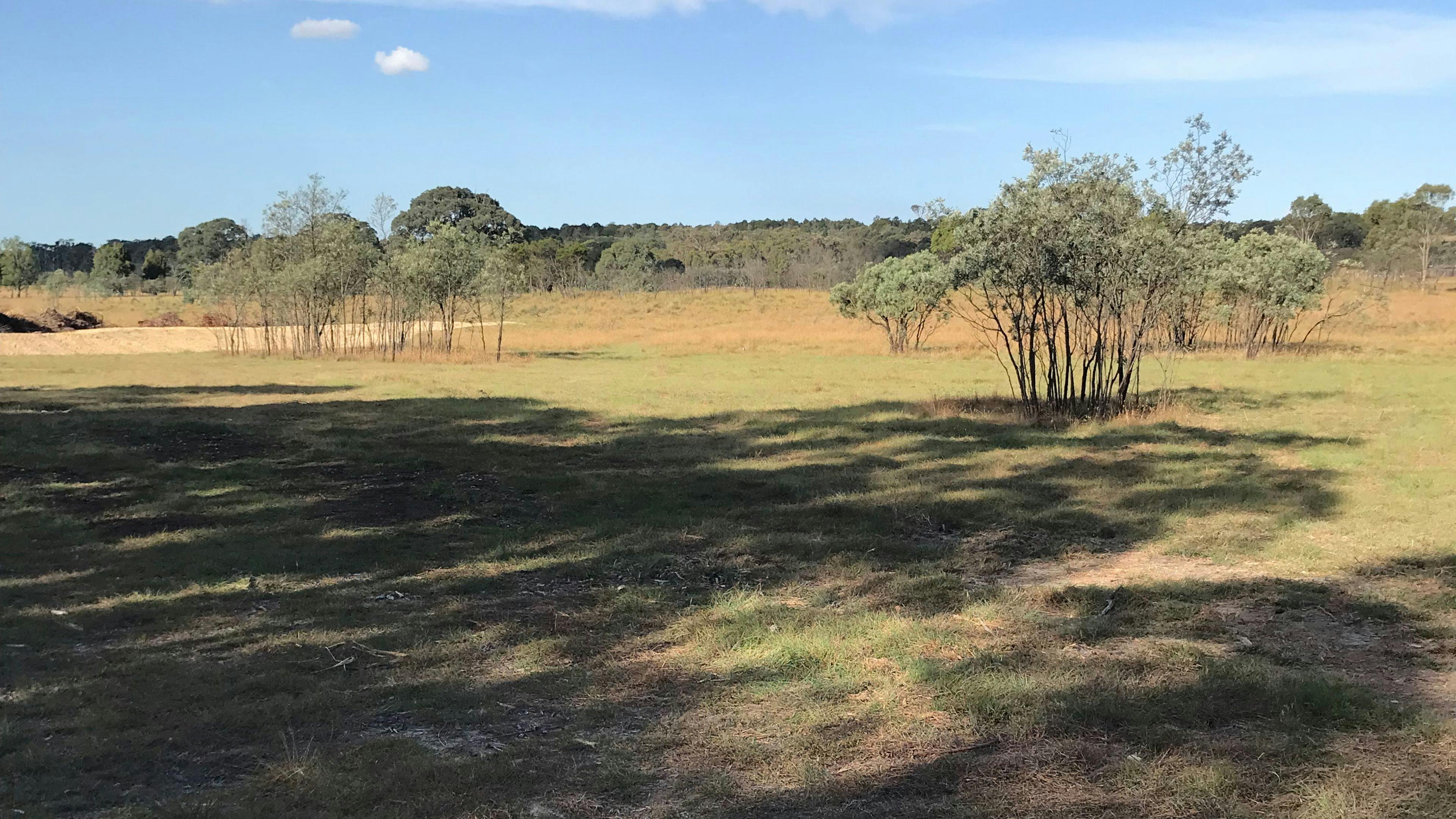 ミランダスプリングスファームステイ