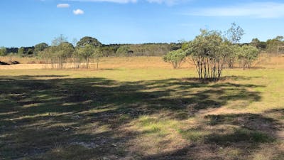 Miranda Springs Farm Stay