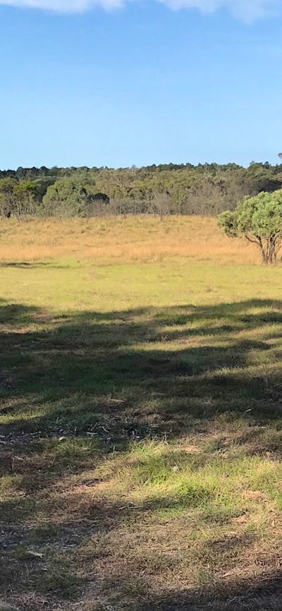 Miranda Springs Farm Stay