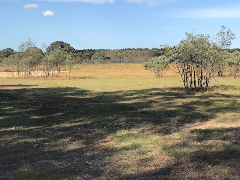 Miranda Springs Farm Stay