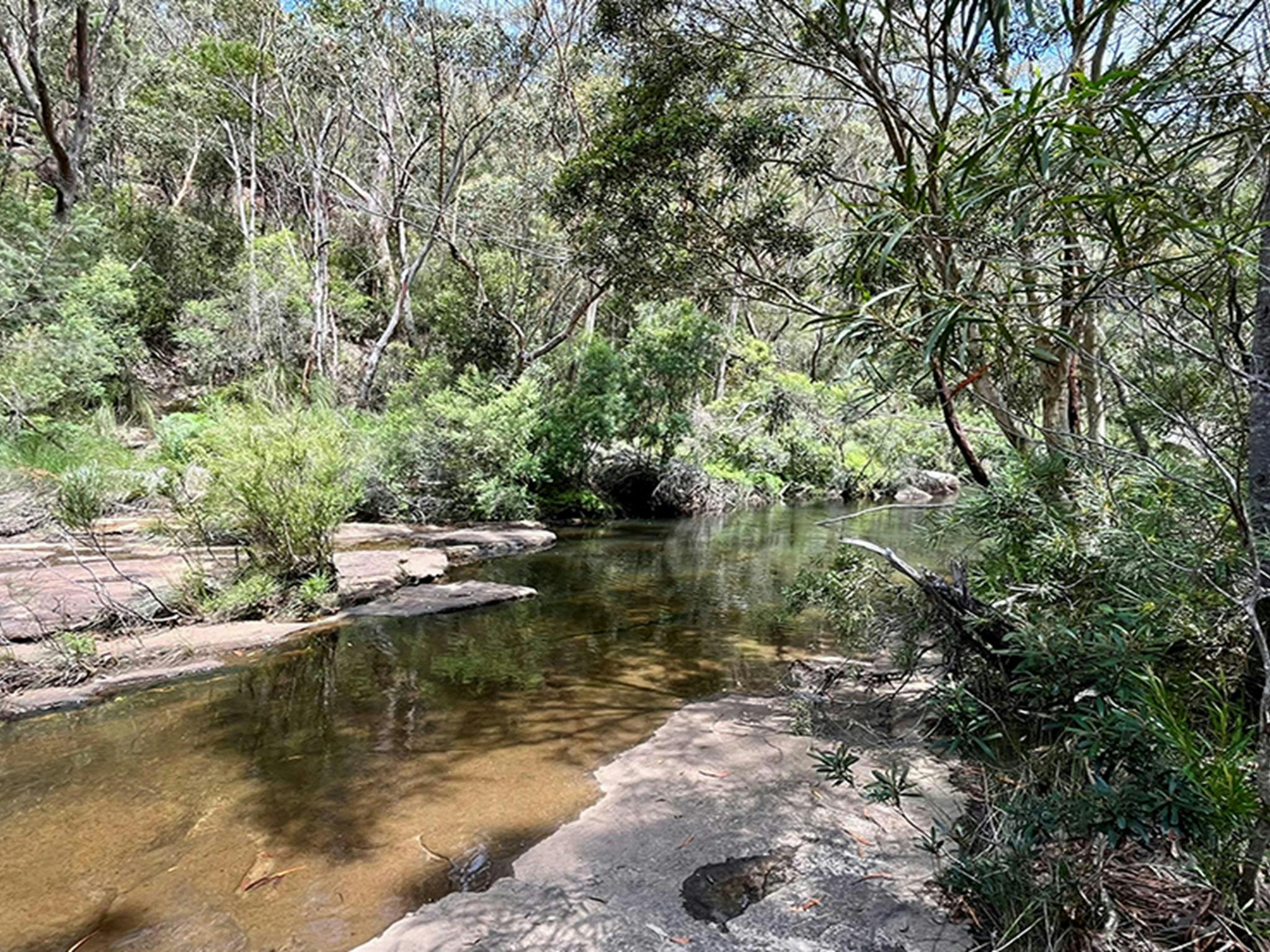 Beautiful clear Mirang pool in Heathcote National Park. Credit: Natasha Webb &copy; DCCEEW/Natasha