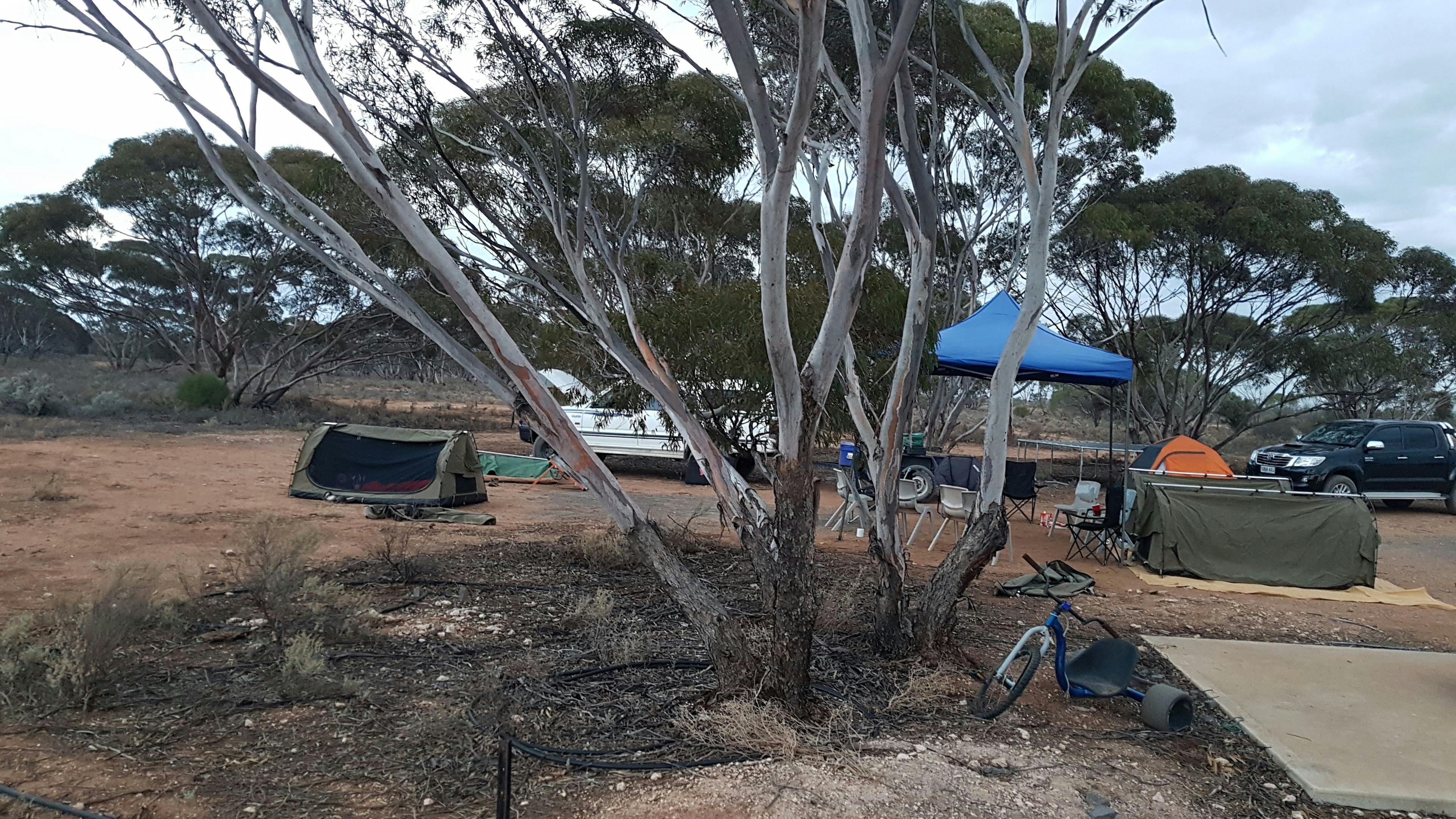 Mirrabooka @ Blanchetown