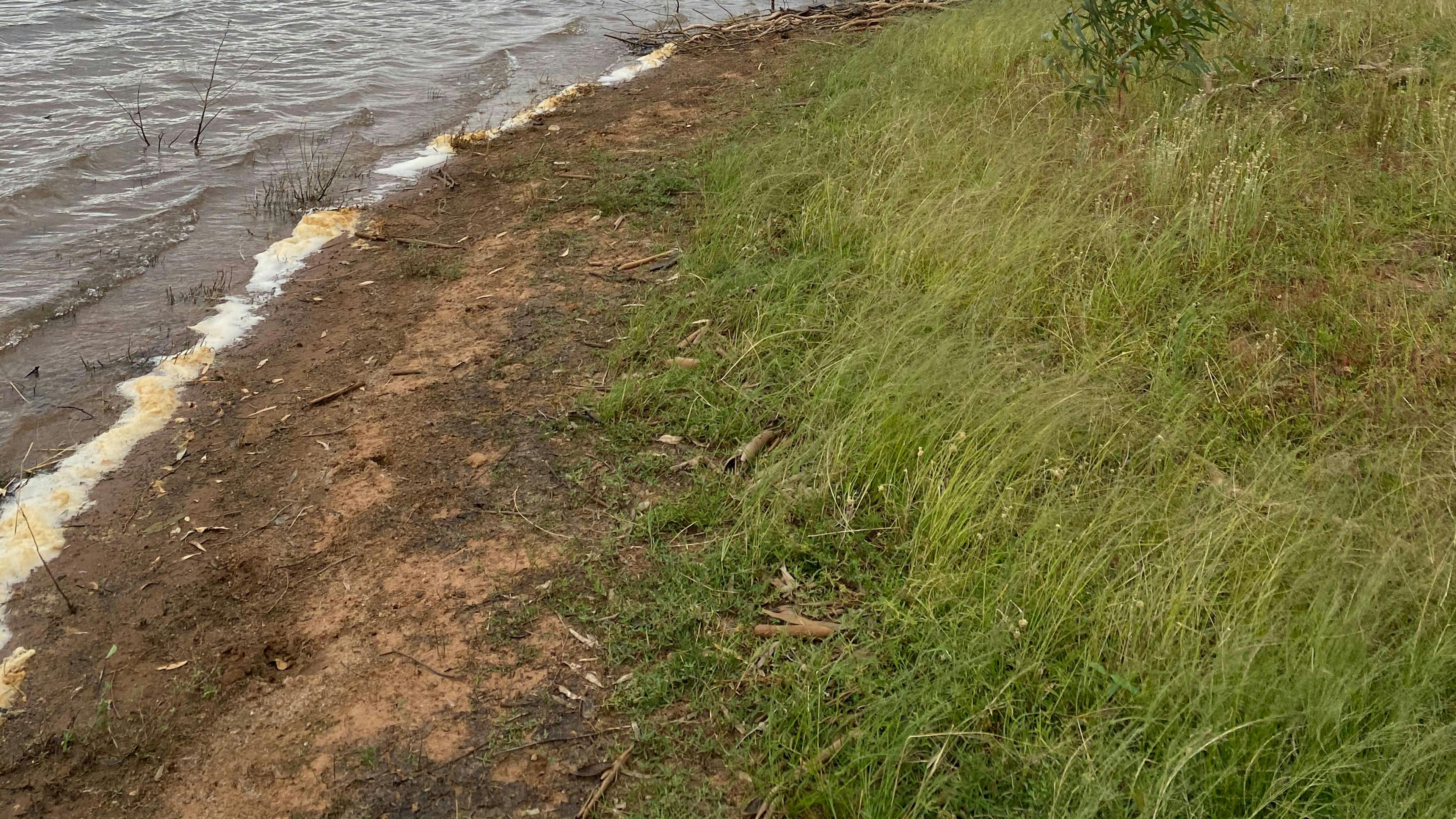 Mirrool Creek, Lake Abortree