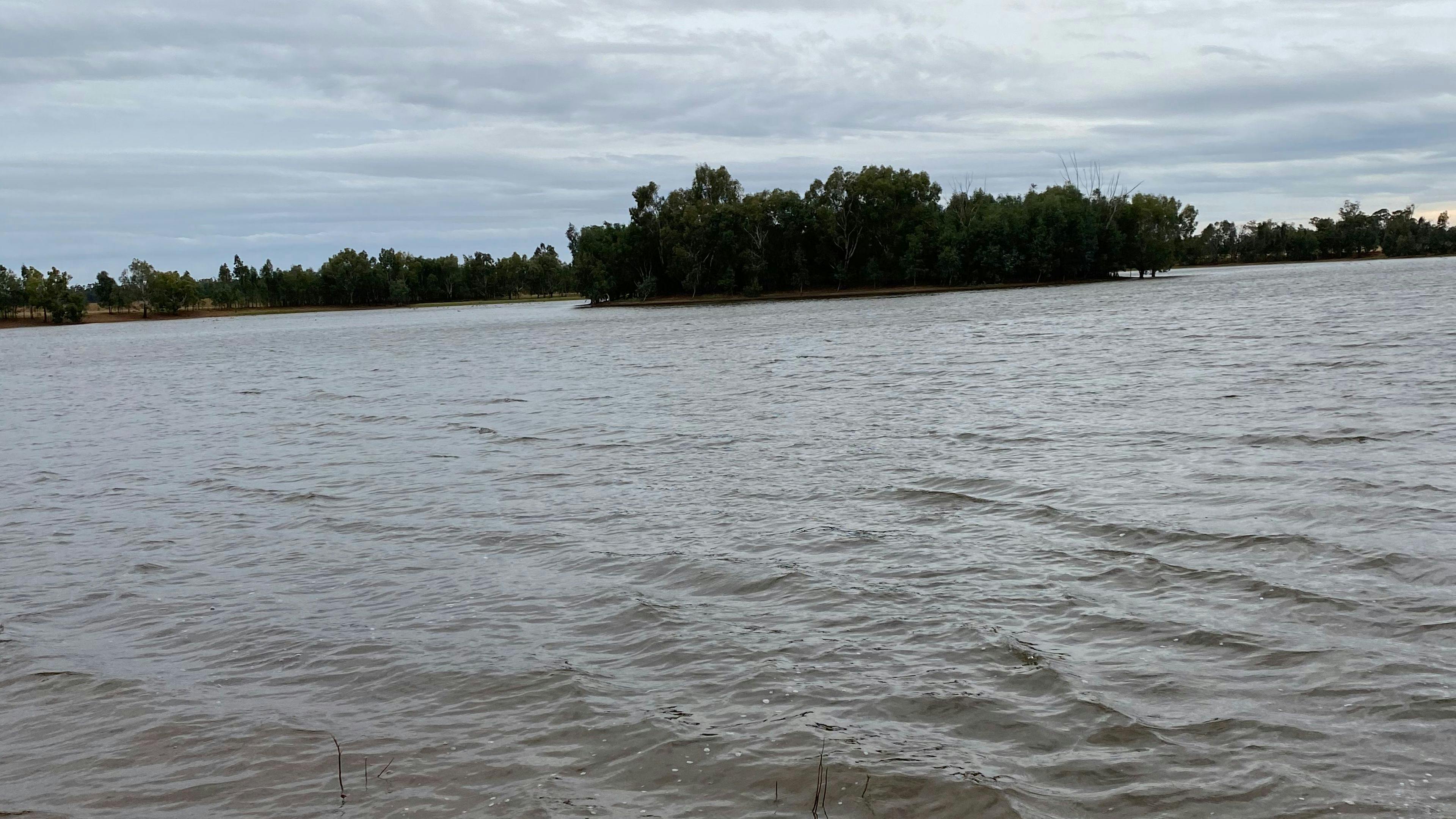 Mirrool Creek, Lake Abortree