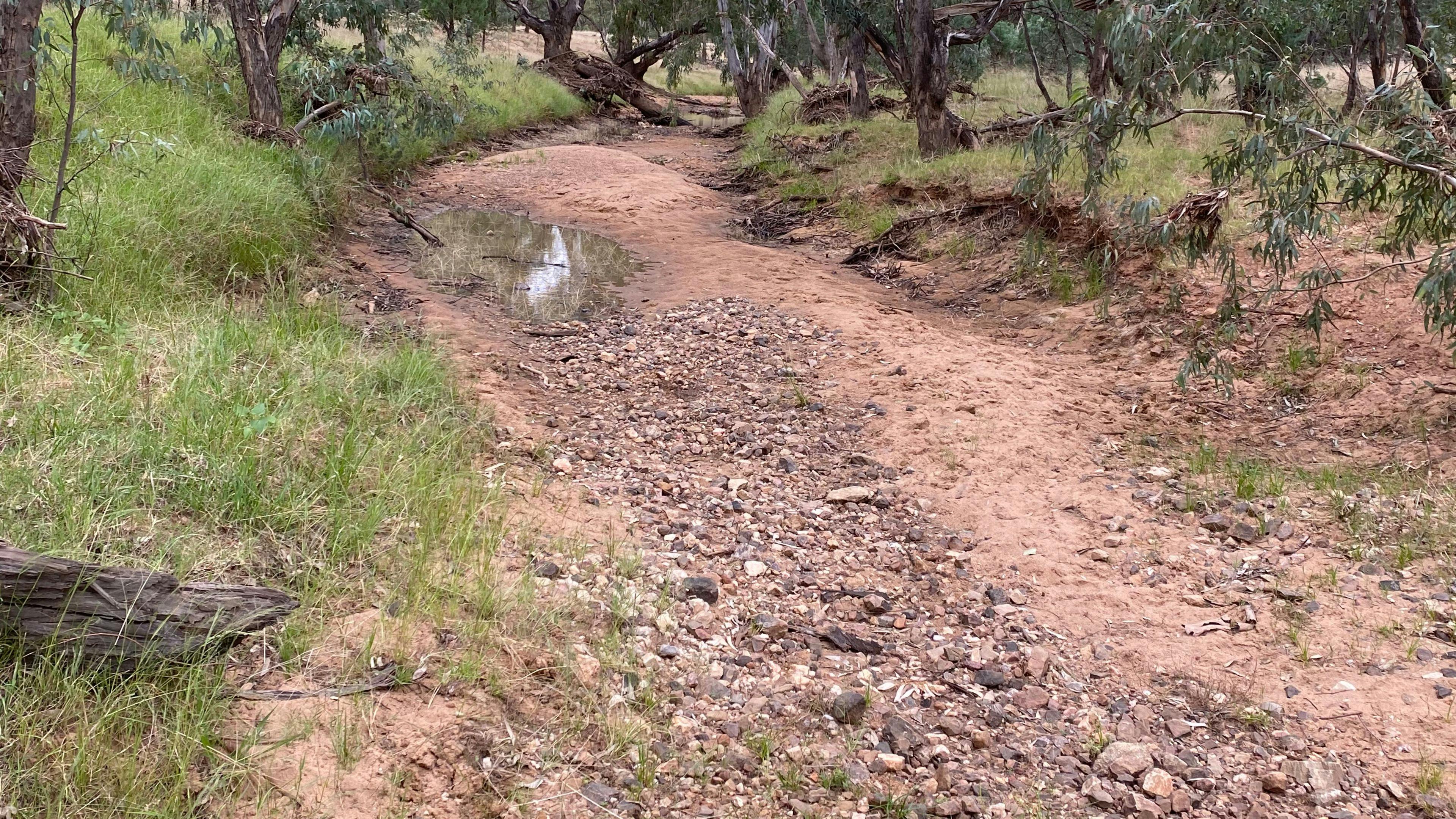 Mirrool Creek, Lake Abortree