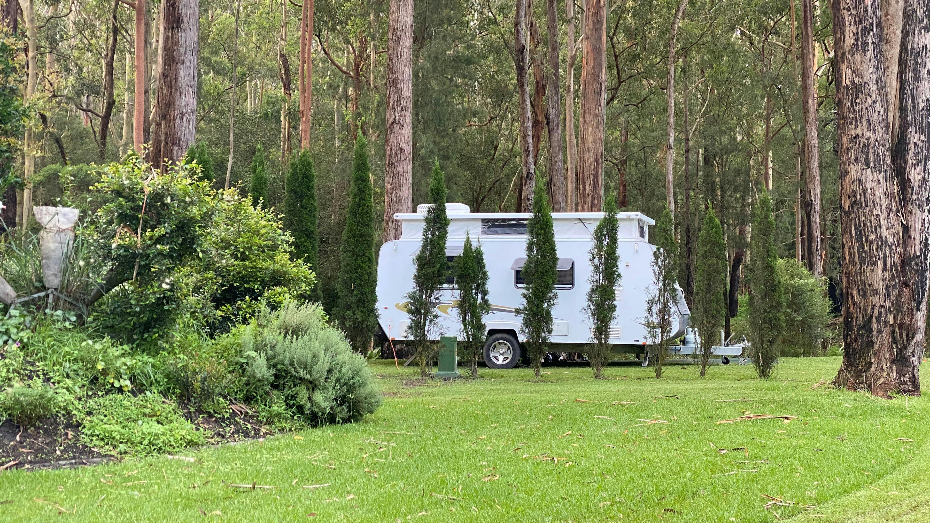 Mistinthegumtrees BUDGET 2 GLAMPING