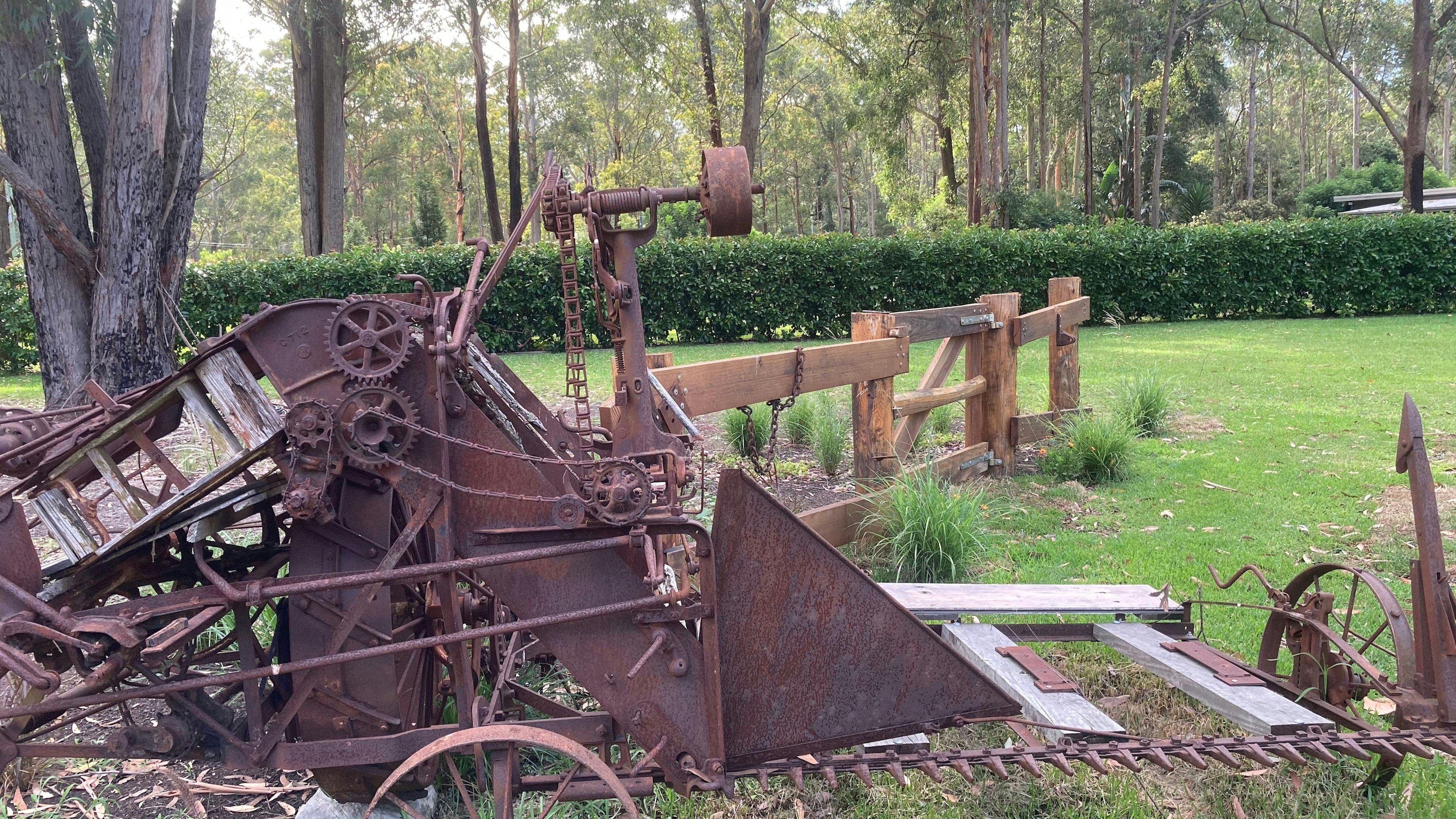 Mistinthegumtrees BUDGET 2 GLAMPING