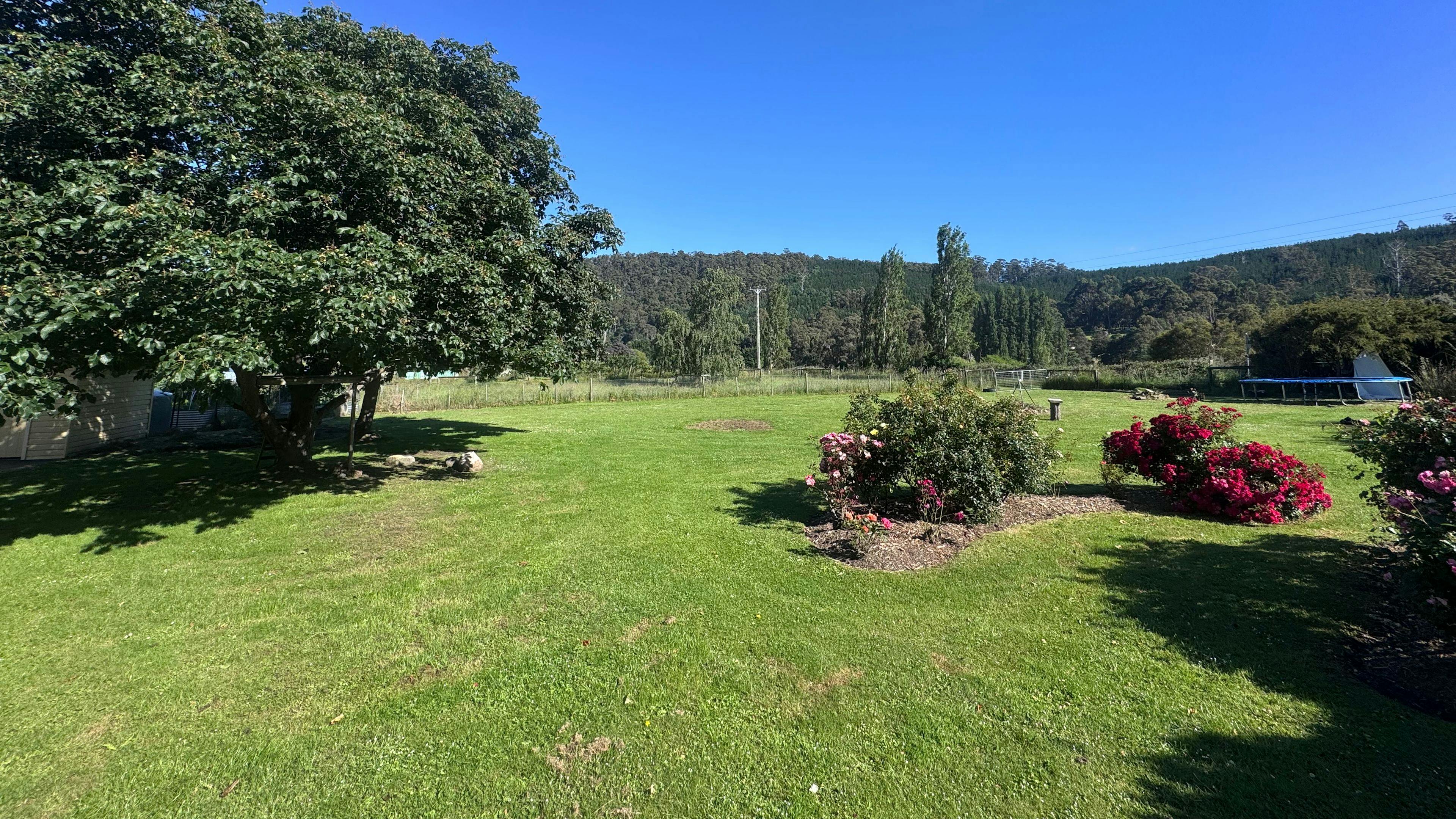 Misty mountain homestead