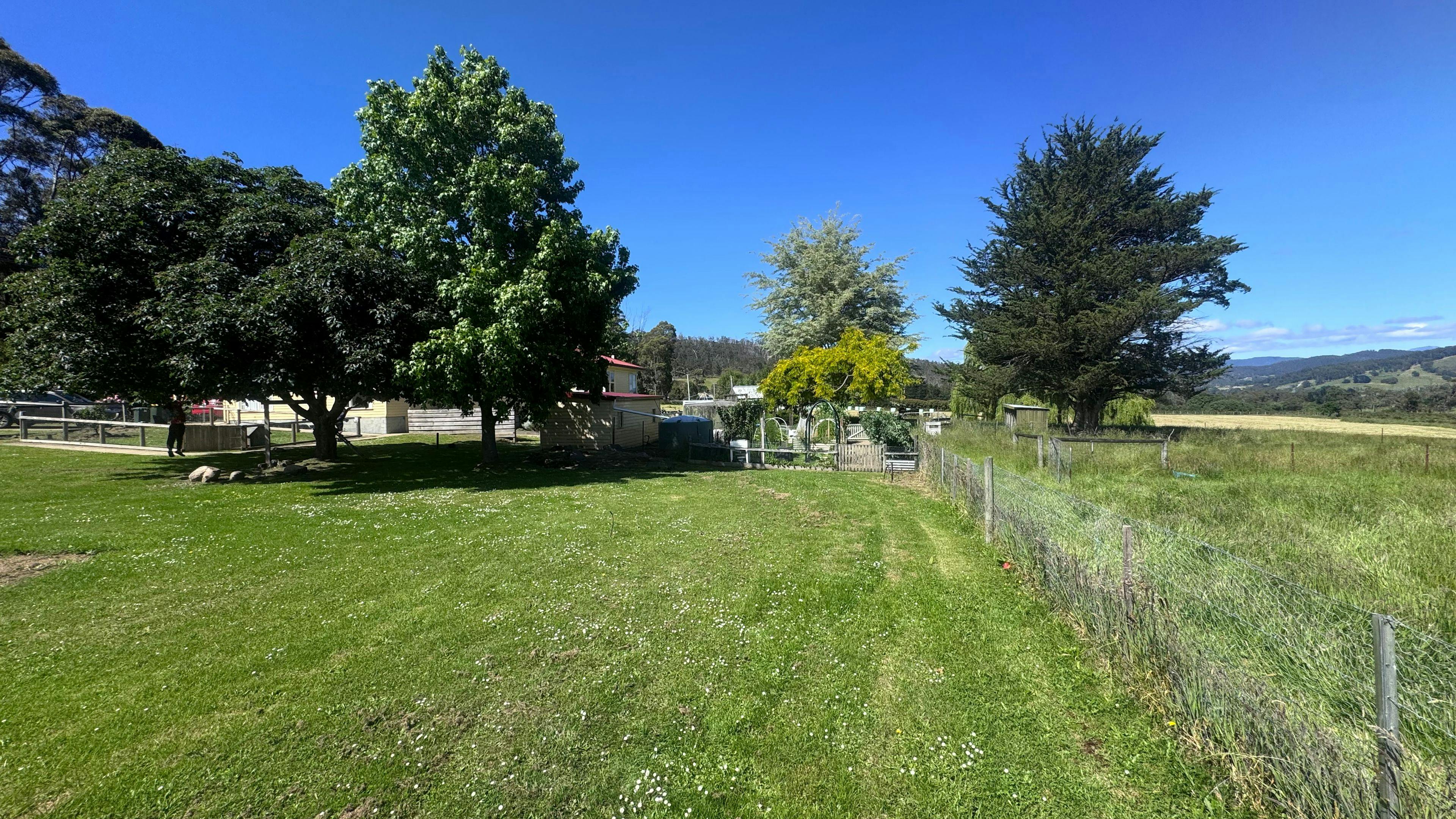 Misty mountain homestead
