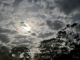 Red Gum Park