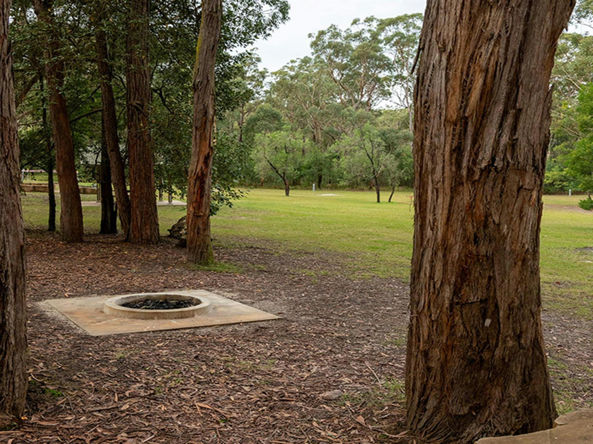 Mogo campground