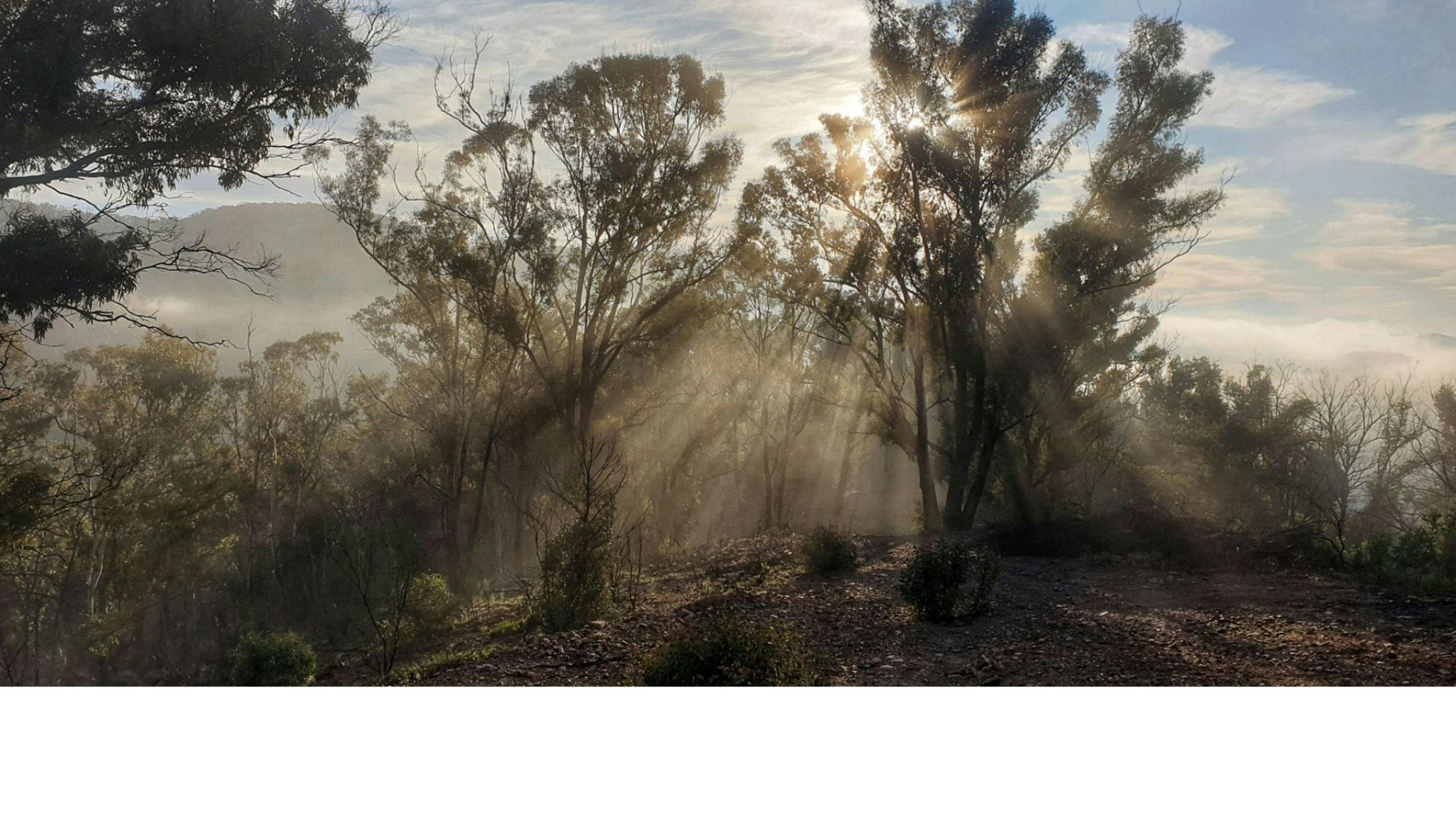 Monastery of 11 Strings