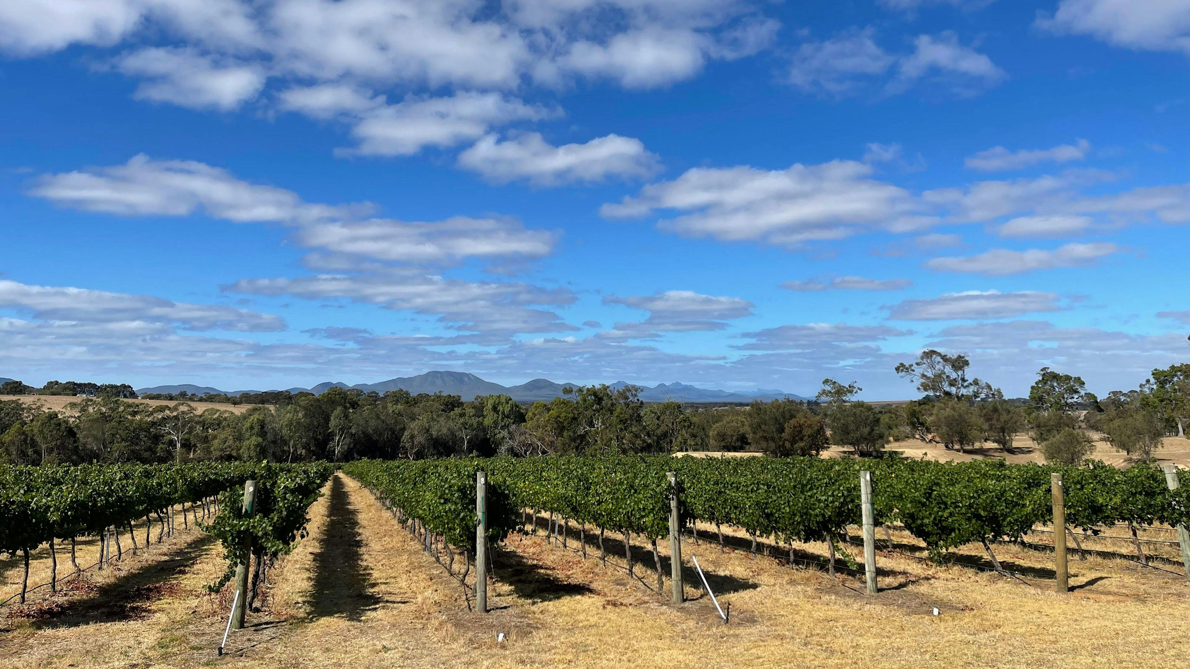 Mondurup Escape - Kendenup