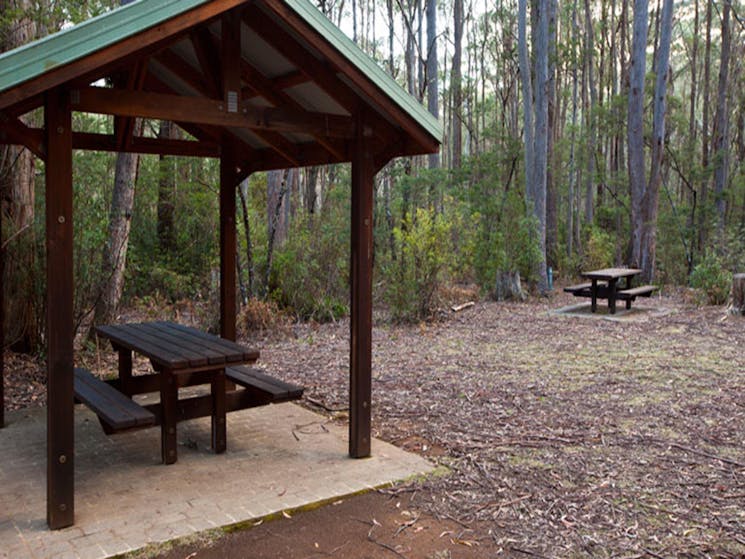 Mongarlowe River picnic area shelters, Monga National Park. Photo: Lucas Boyd &copy; DPIE