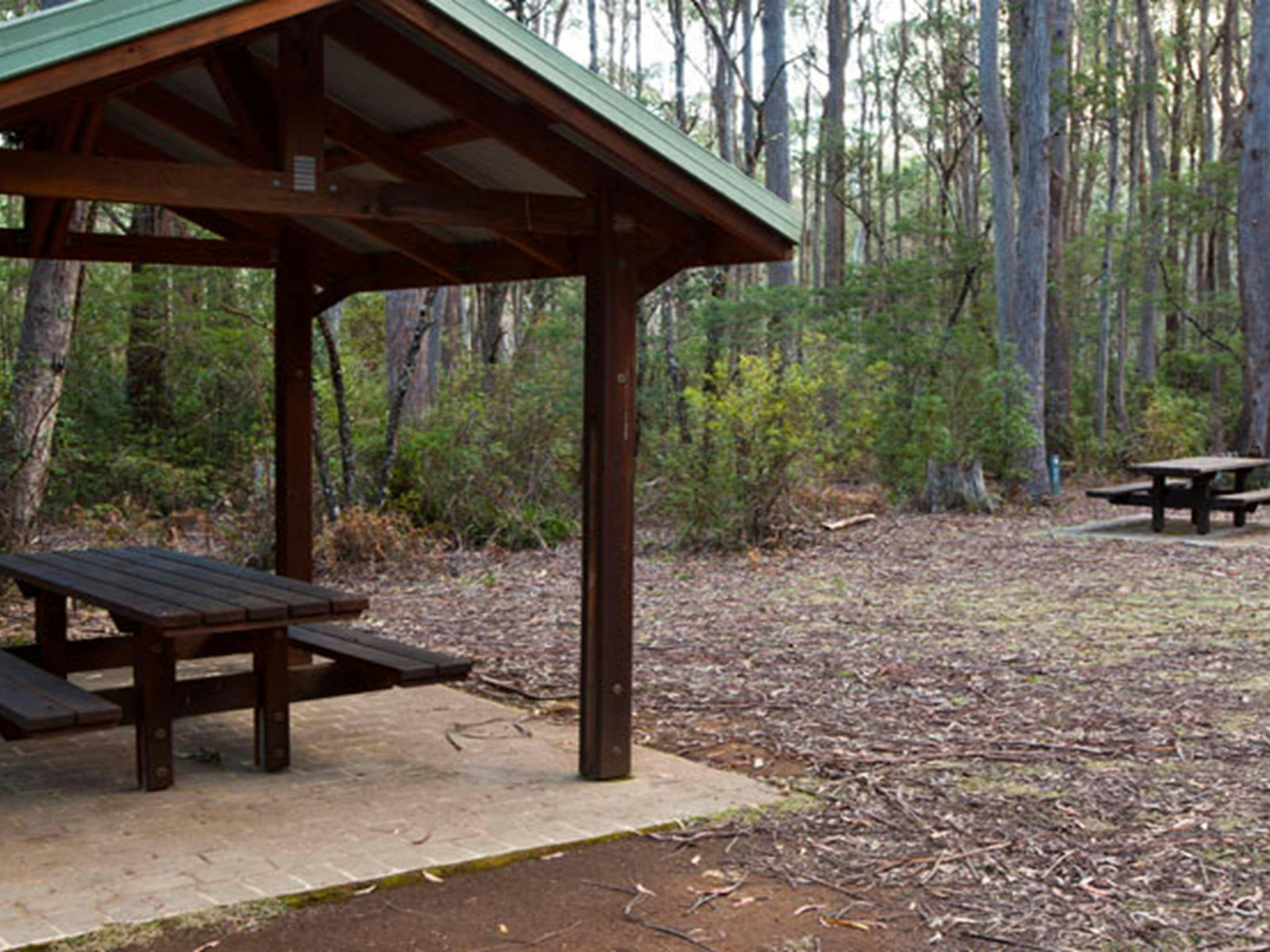 Picknickplatz am Mongarlowe River