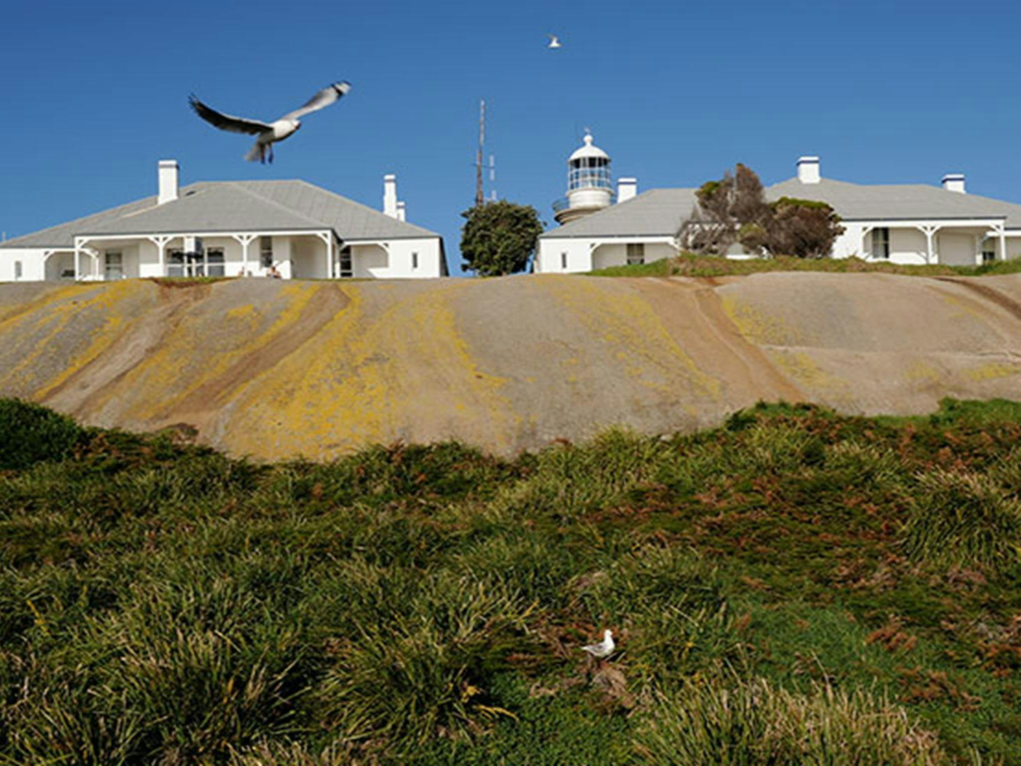 Montague Island Lighthouse Keepers Cottage perched atop rock on Barunguba Montague Island Nature
