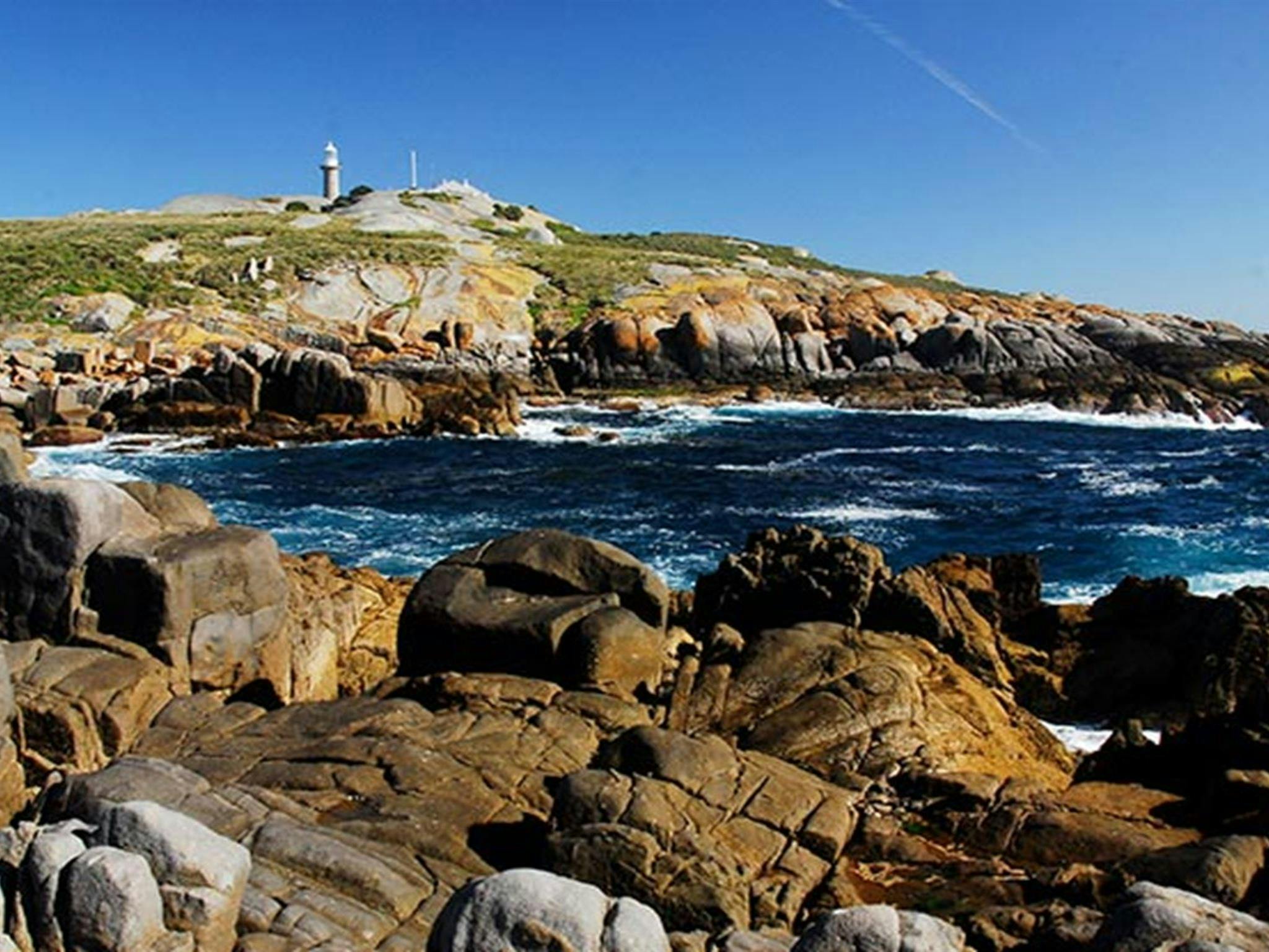 Rocky foreshore with lighthouse on hill, Barunguba Montague Island Nature Reserve. Photo: Stuart