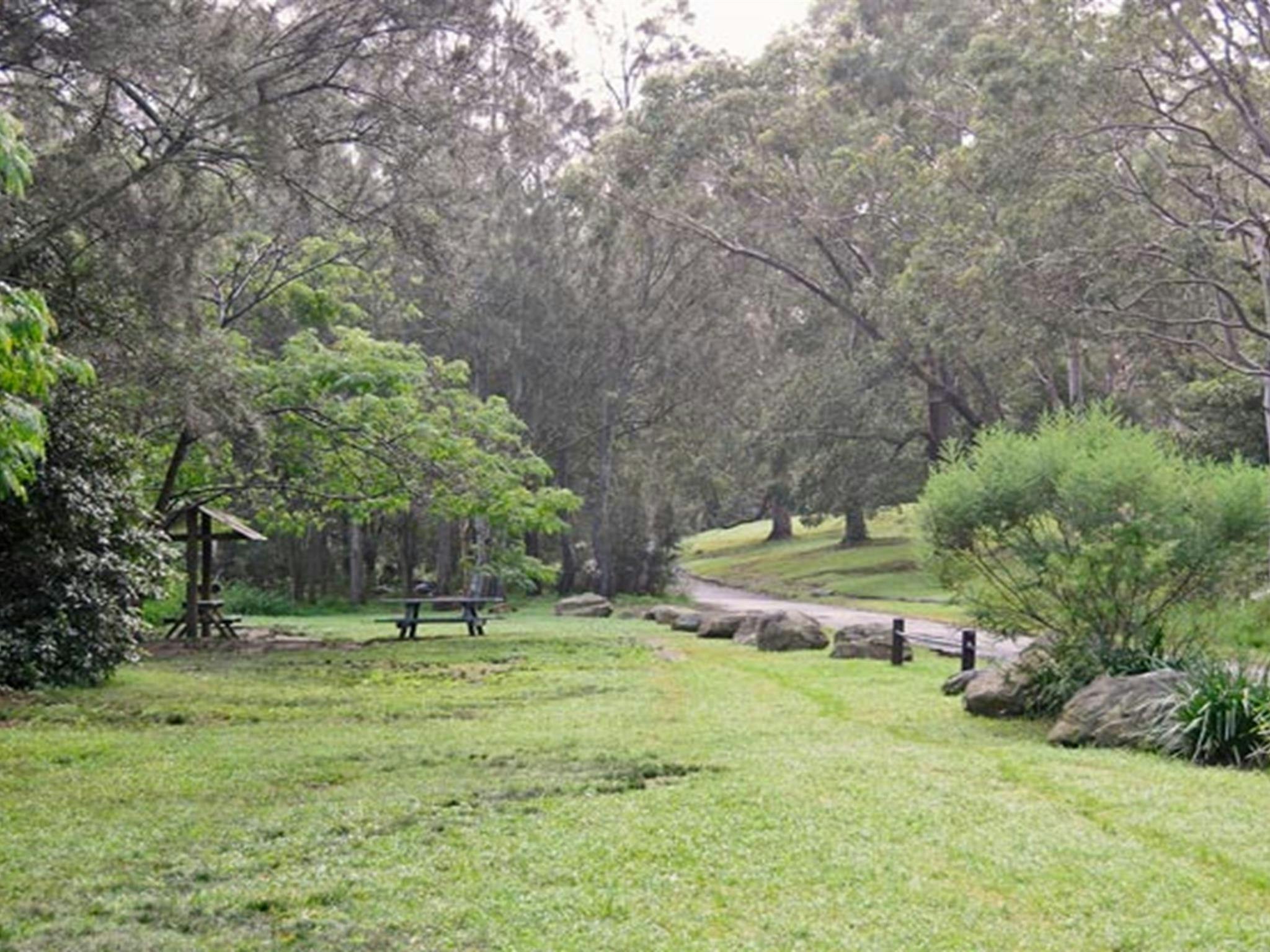 Picknickplatz Moola, Lane Cove Nationalpark. Foto: Kevin McGrath © OEH