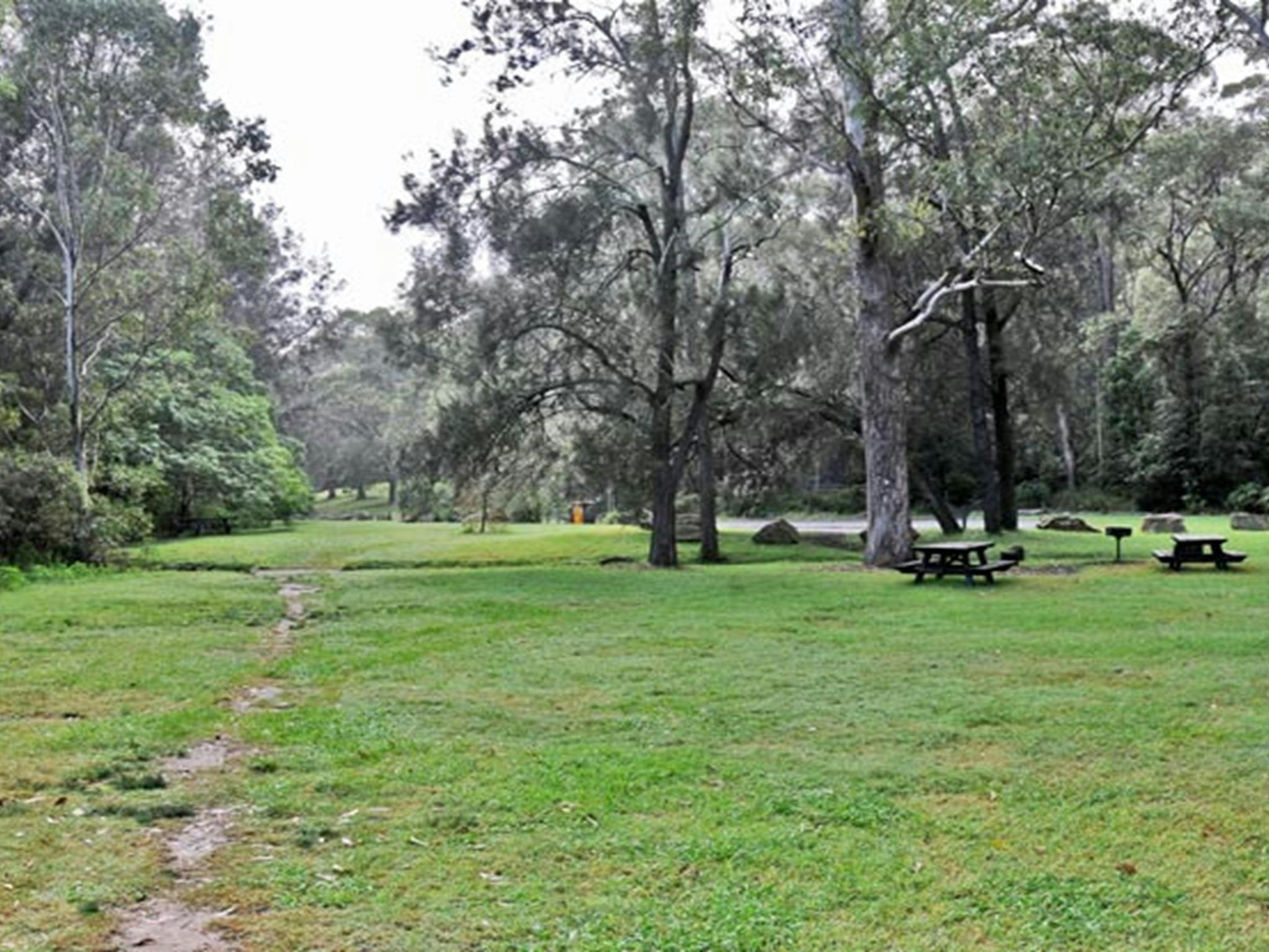 Picknickplatz Moola, Lane Cove Nationalpark. Foto: Kevin McGrath © OEH
