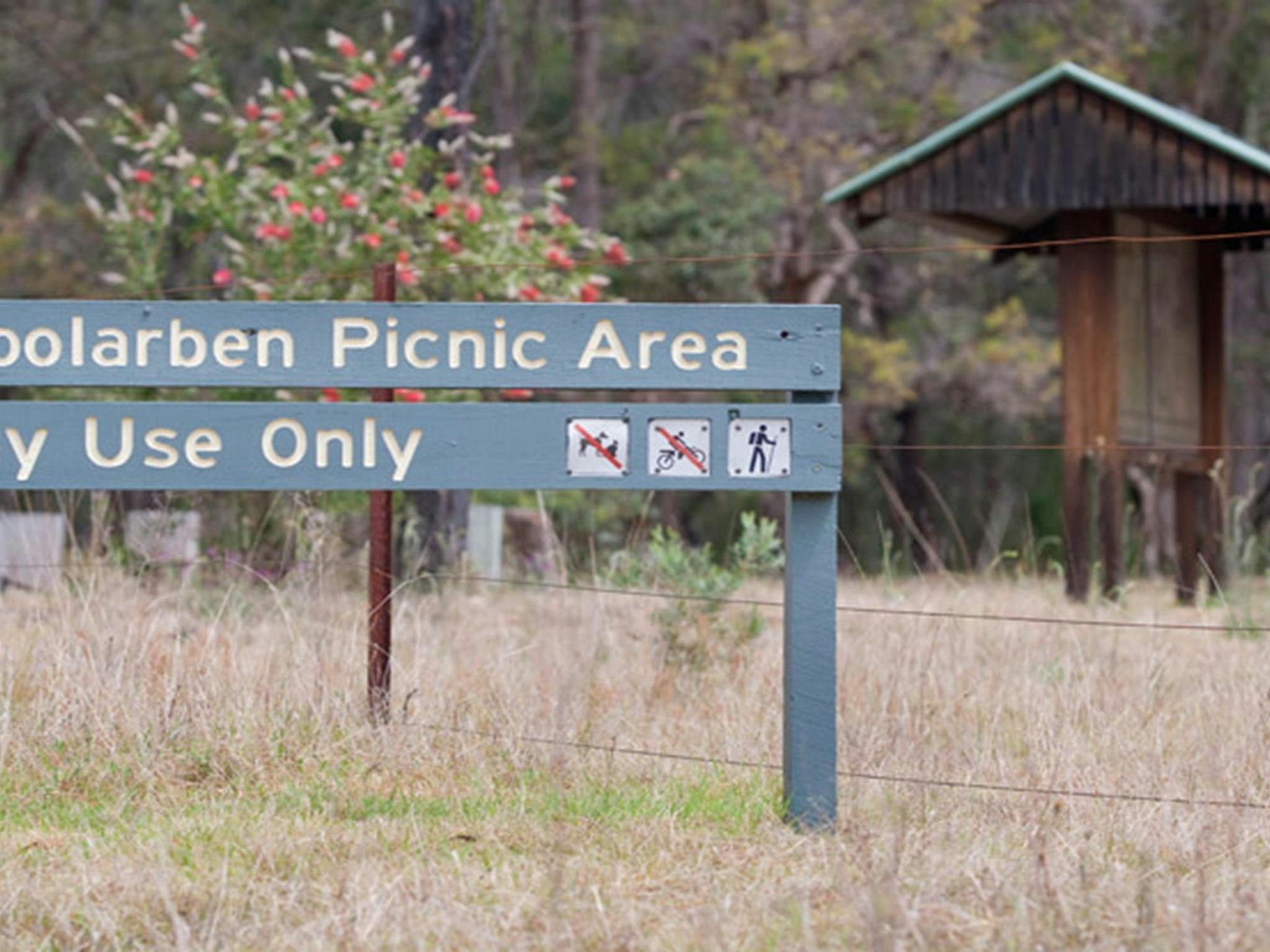 Moolarben picnic area, Munghorn Nature Reserve. Photo: Nick Cubbin/NSW Government