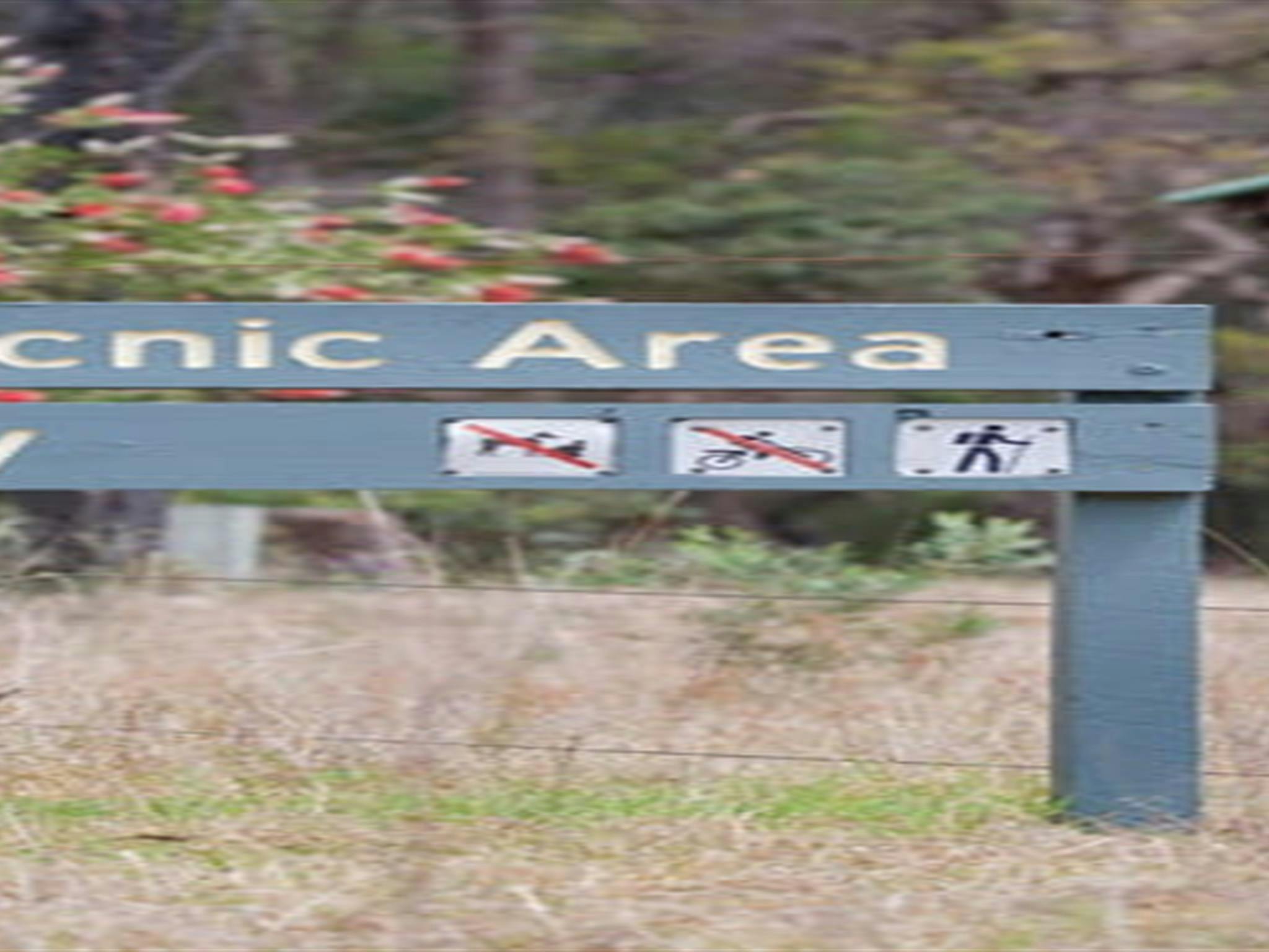 Moolarben picnic area, Munghorn Nature Reserve. Photo: Nick Cubbin/NSW Government