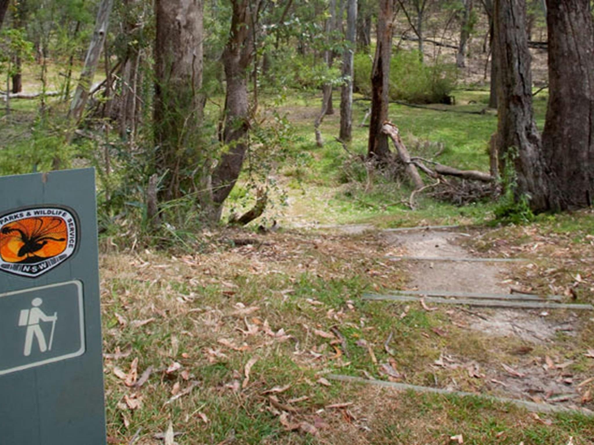 Moolarben picnic area, Munghorn Nature Reserve. Photo: Nick Cubbin/NSW Government