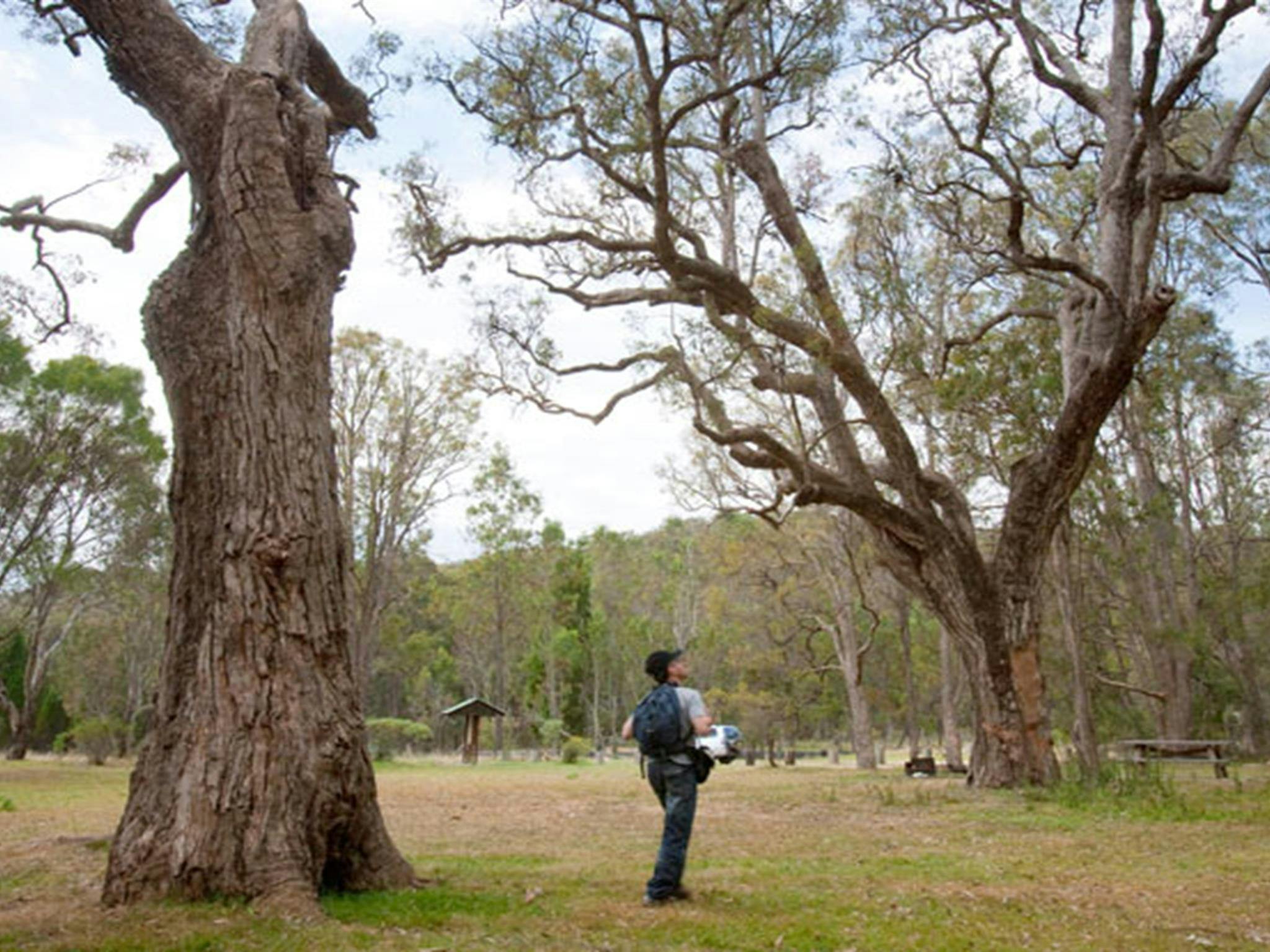 Moolarben picnic area, Munghorn Nature Reserve. Photo: Nick Cubbin/NSW Government